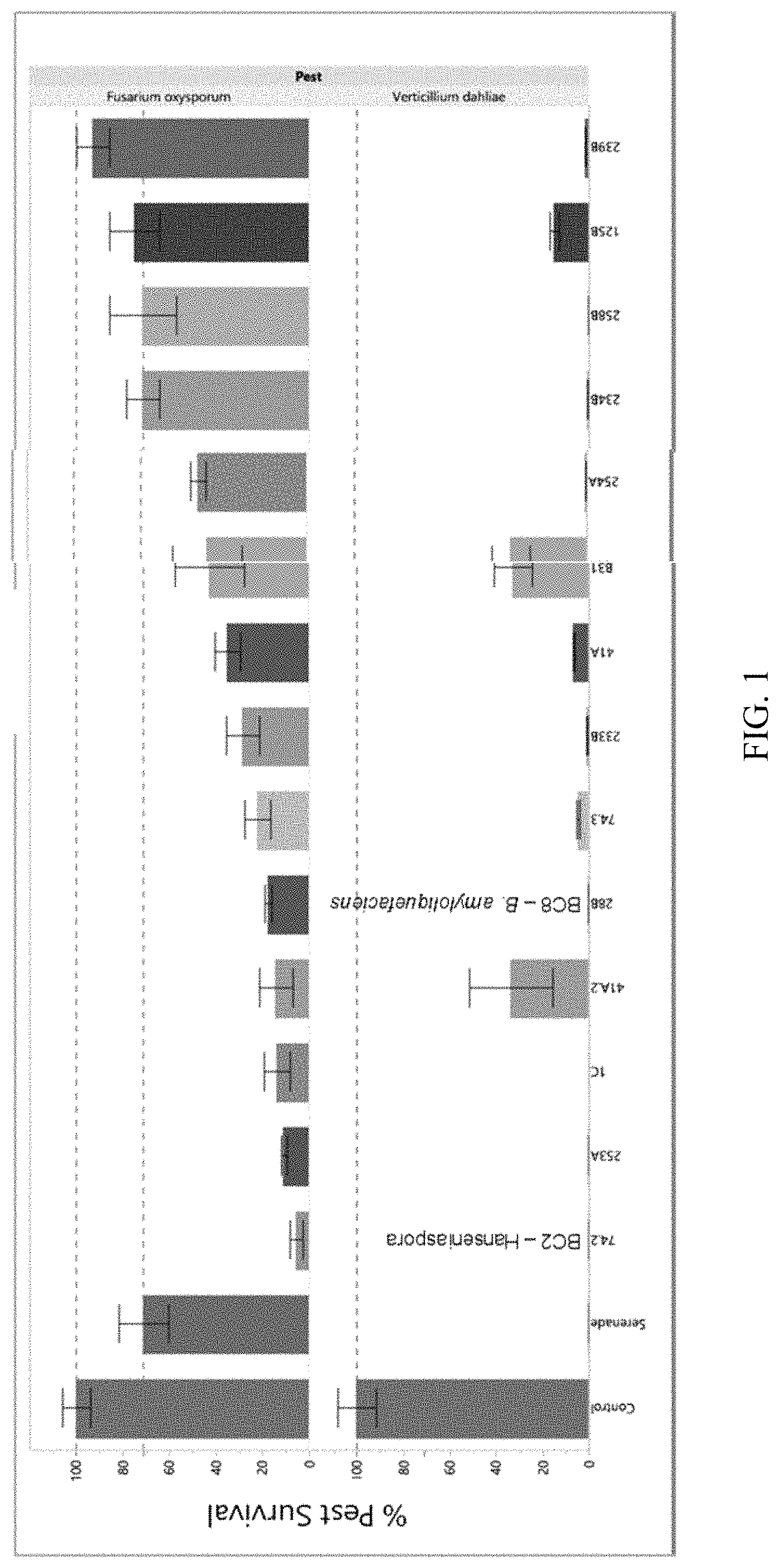 Patent US11771029 — Microbial compositions for the prevention or reduction of growth of fungal pathogens on plants — Figure 1