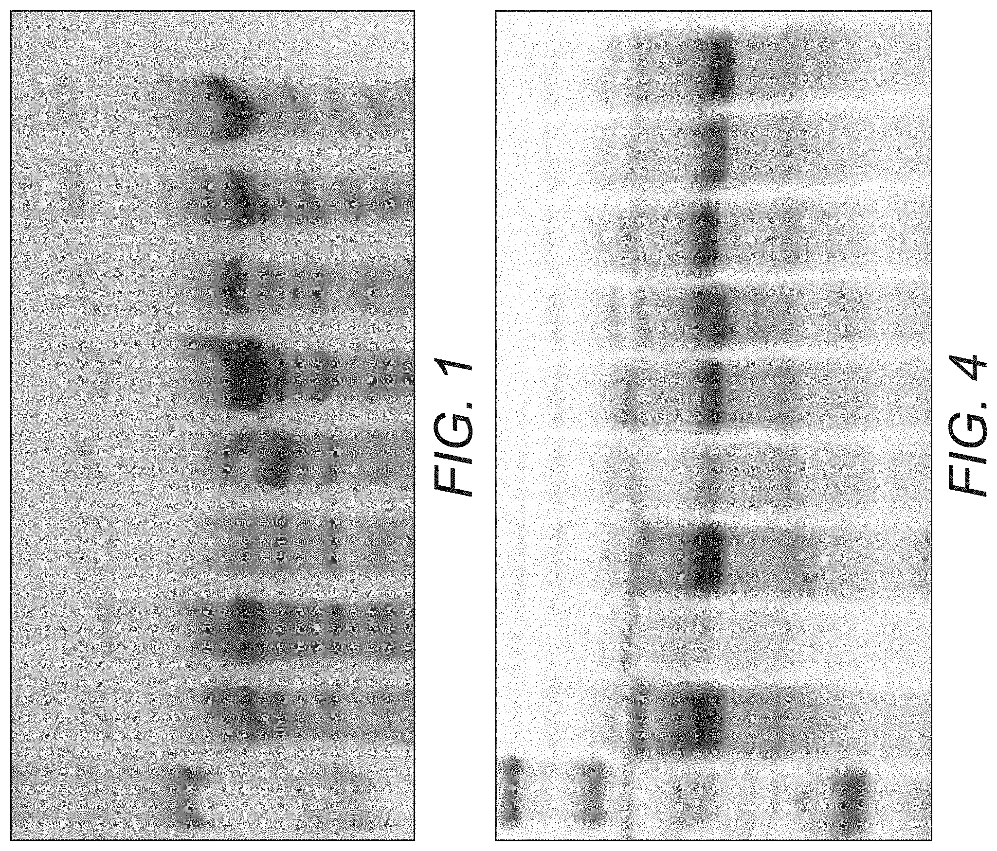 Patent US11771092 — Modified VIP3 polypeptides — Figure 1