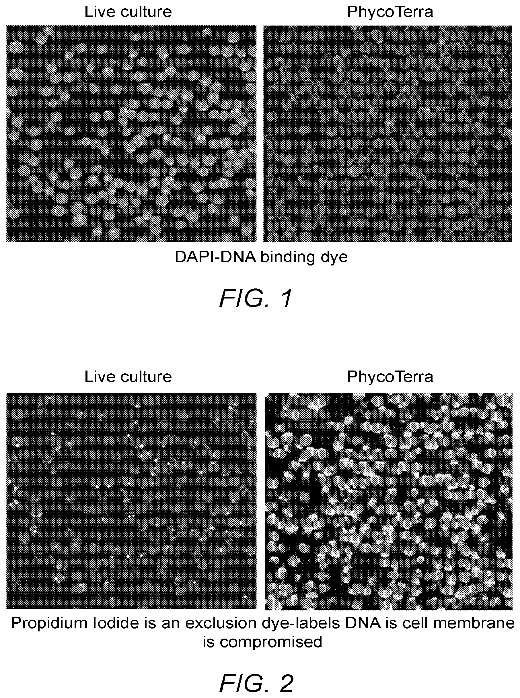 Patent US11771093 — Chlorella-based composition, and methods of its preparation and application to plants — Figure 1