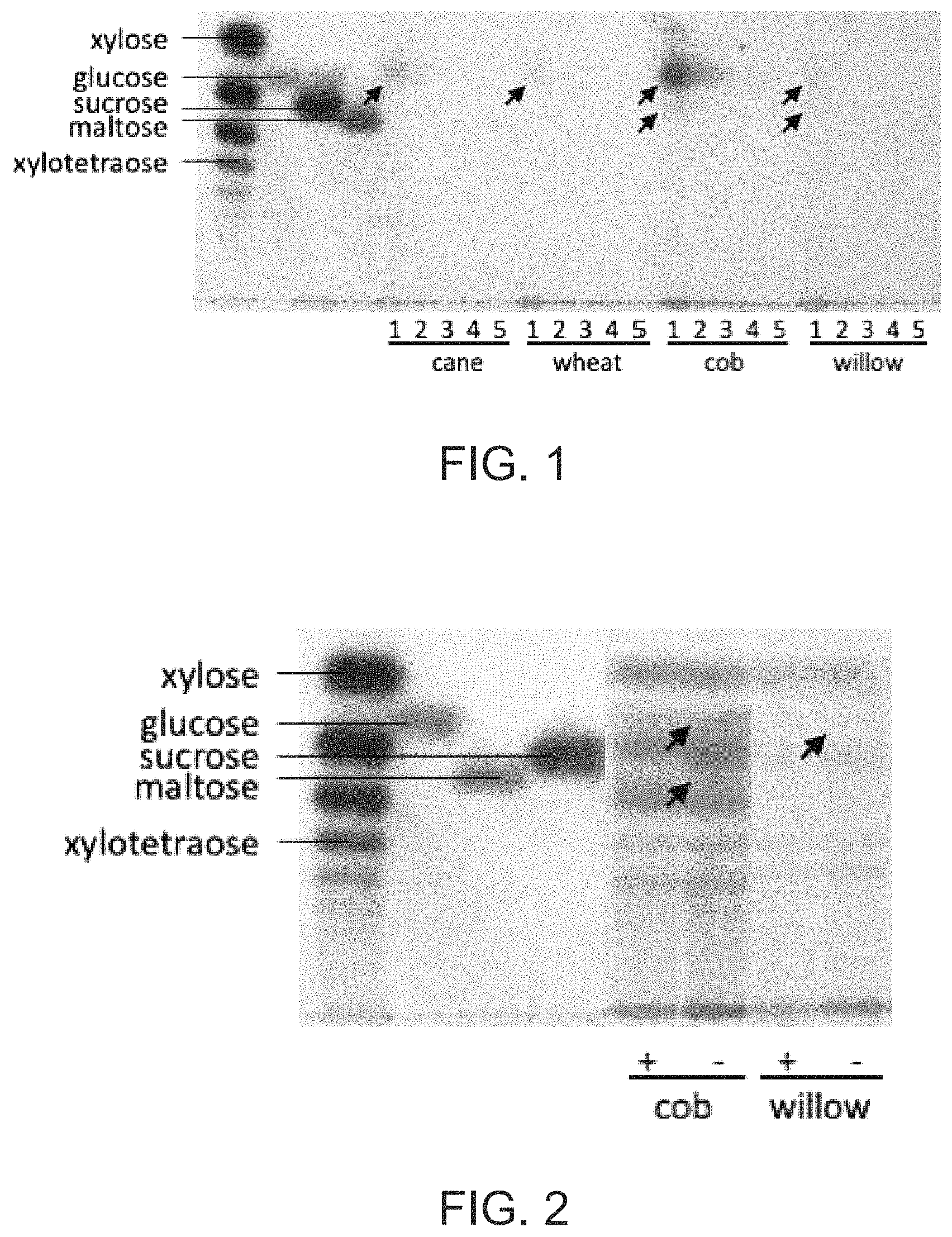 Patent US11771123 — Methods for treating biomass to produce oligosaccharides and related compositions — Figure 1