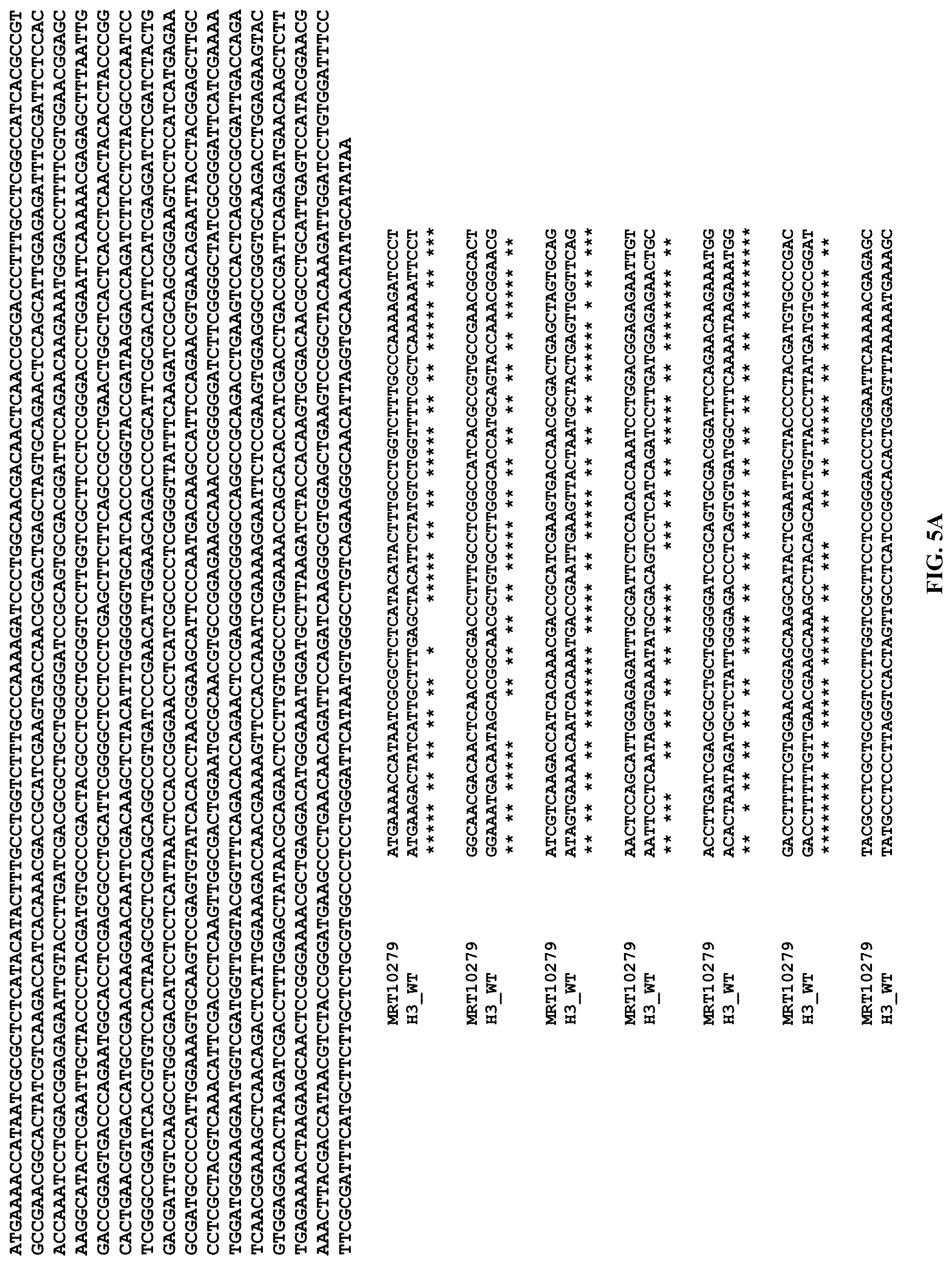 Patent US11771652 Figure 8 – Lipid nanoparticles for delivering mRNA vaccines