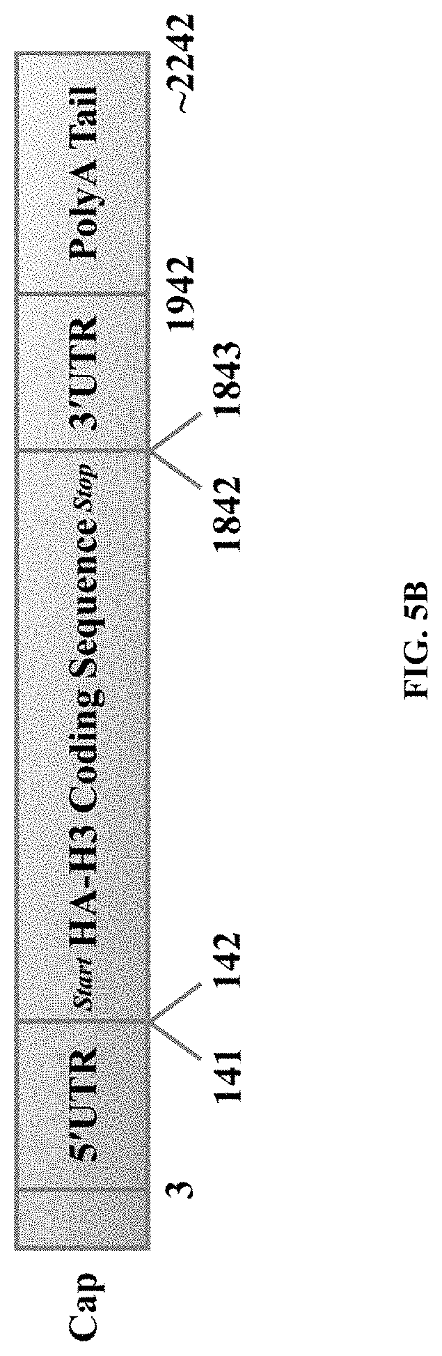 Patent US11771653 Figure 11 – Lipid nanoparticles for delivering mRNA vaccines