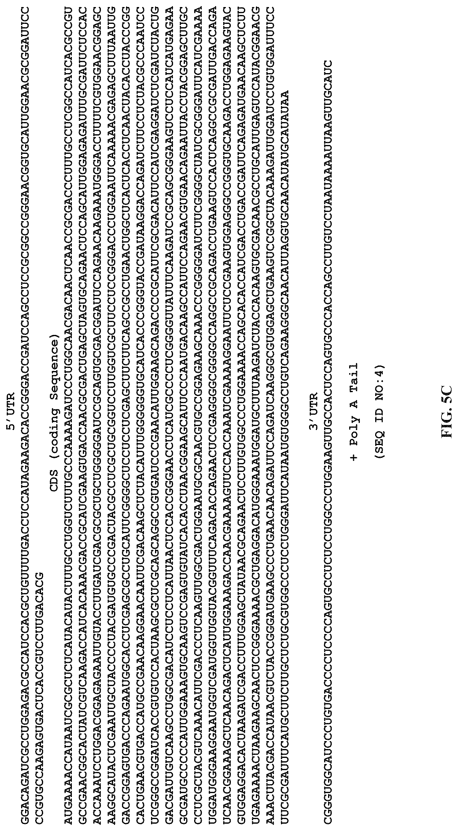 Patent US11771653 Figure 12 – Lipid nanoparticles for delivering mRNA vaccines