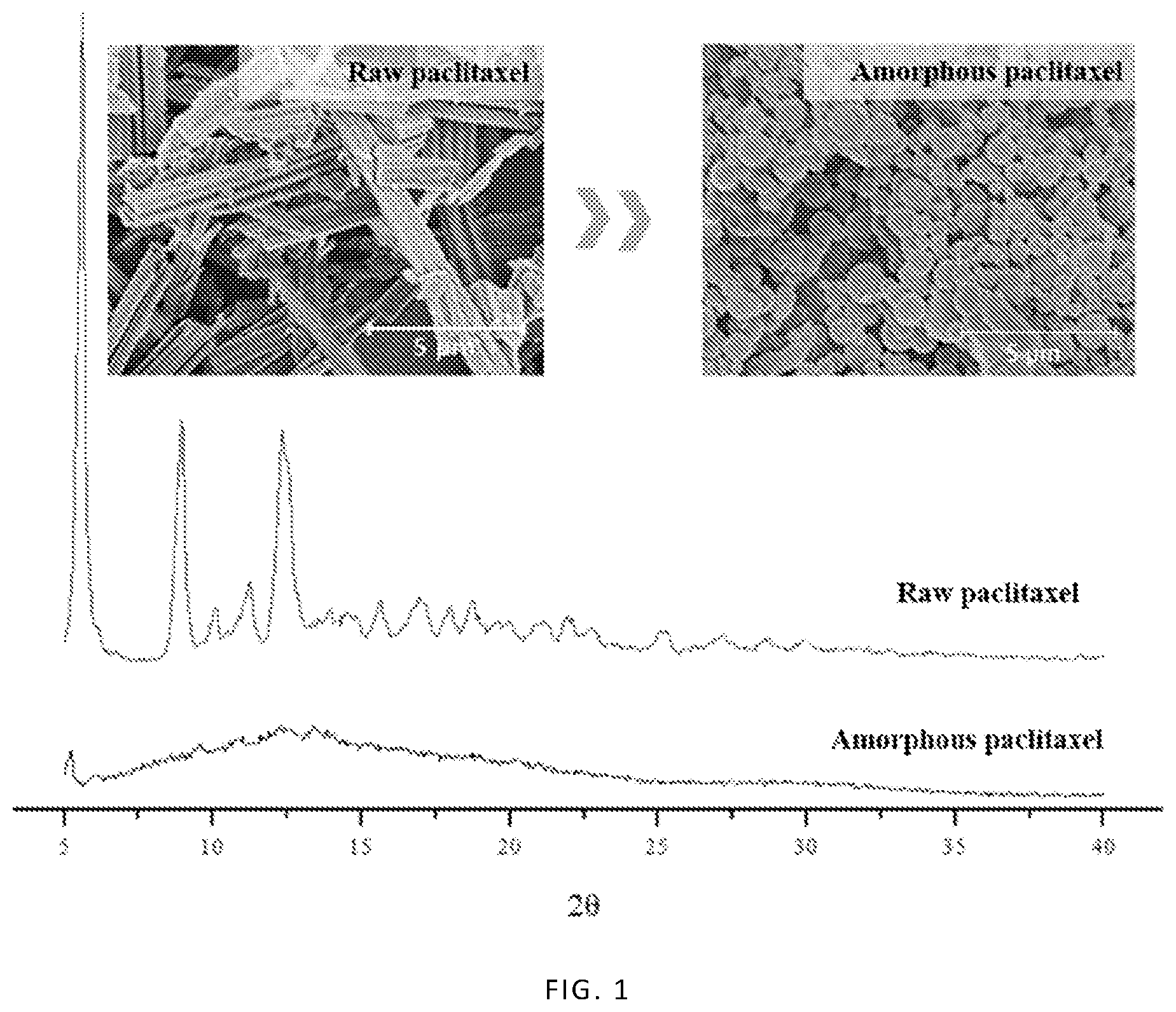 Patent US11771676 — Method for preparing high-load oral paclitaxel capsule for slow release in colon — Figure 1