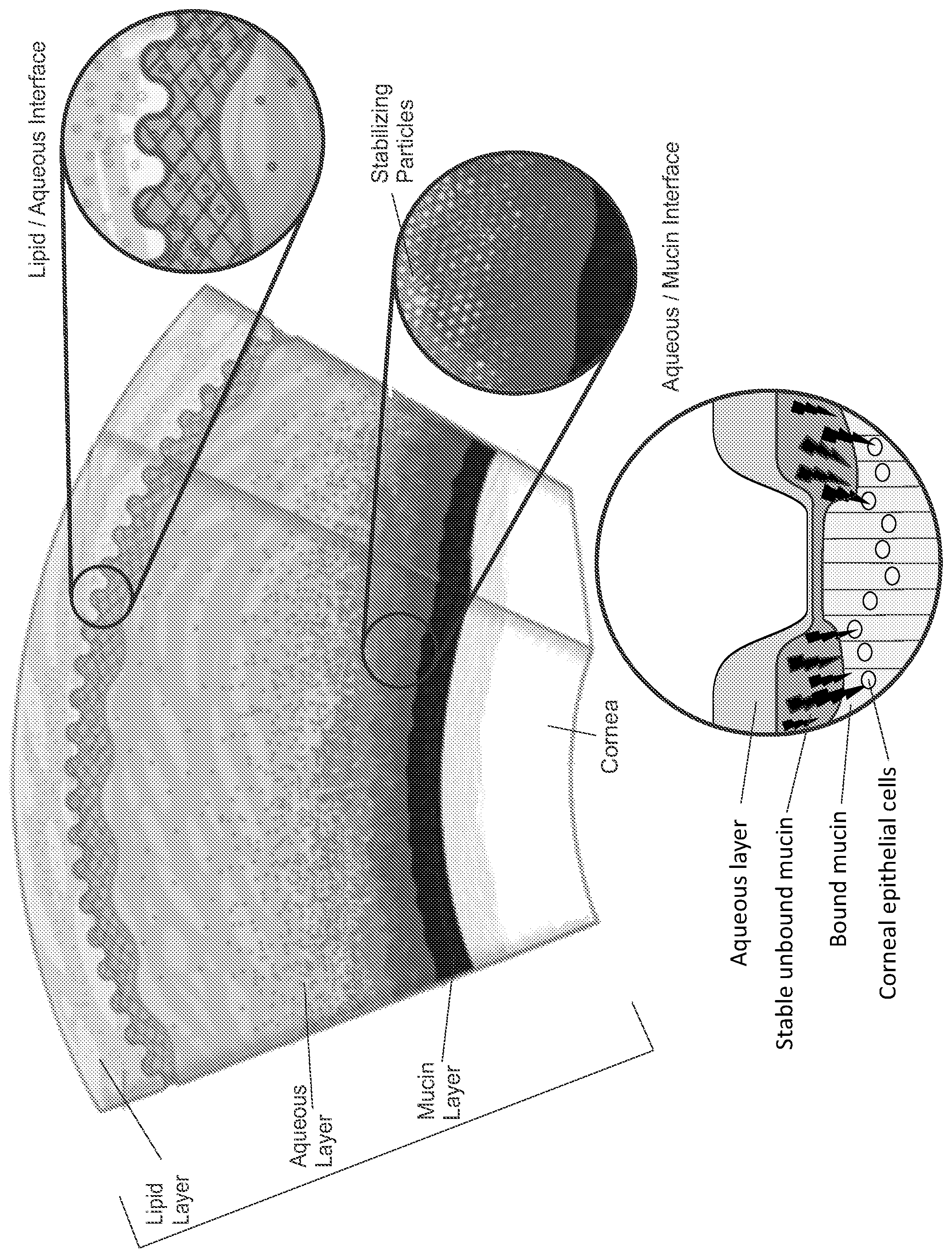 Patent US11771714 — Ophthalmic suspension vehicles and related methods for pharmaceutical ingredient delivery — Figure 1
