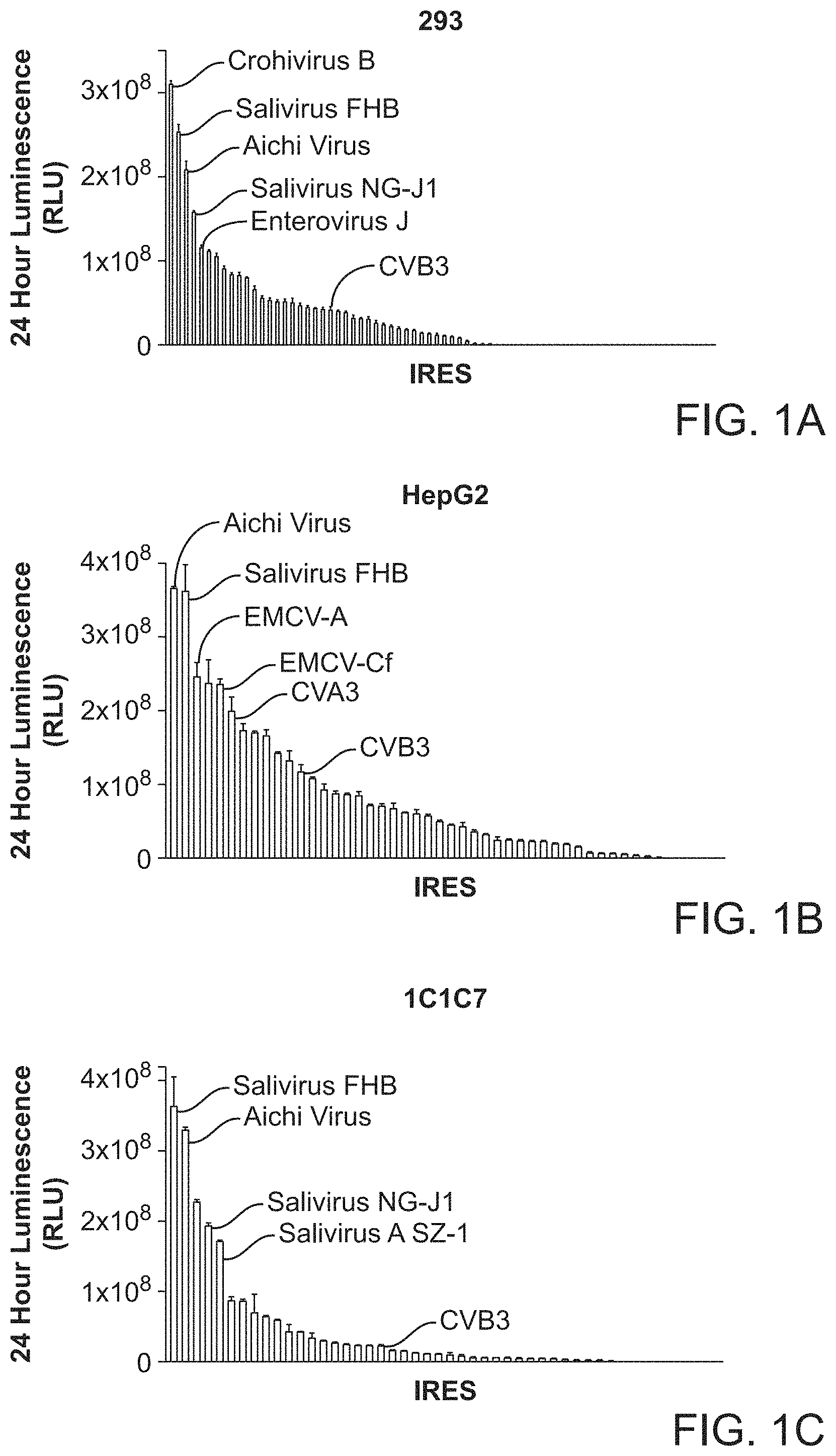 Patent US11771715 — Circular RNA compositions and methods — Figure 1