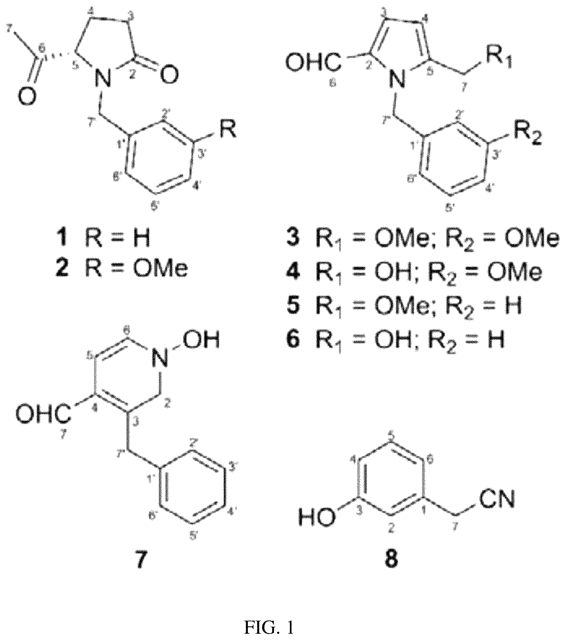 Patent US11771729 Figure 1 – Maca extract and use thereof