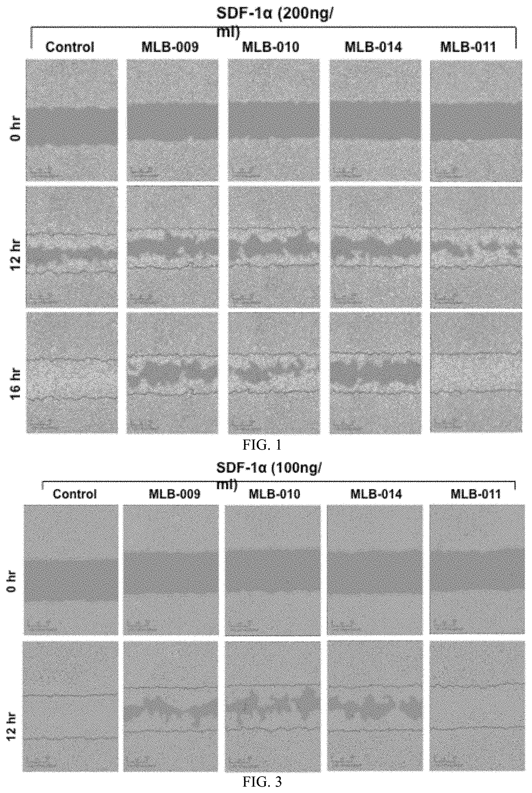 Patent US11771736 — Composition comprising a therapeutic agent and a CXCR4 selective antagonist and methods for using the same — Figure 1