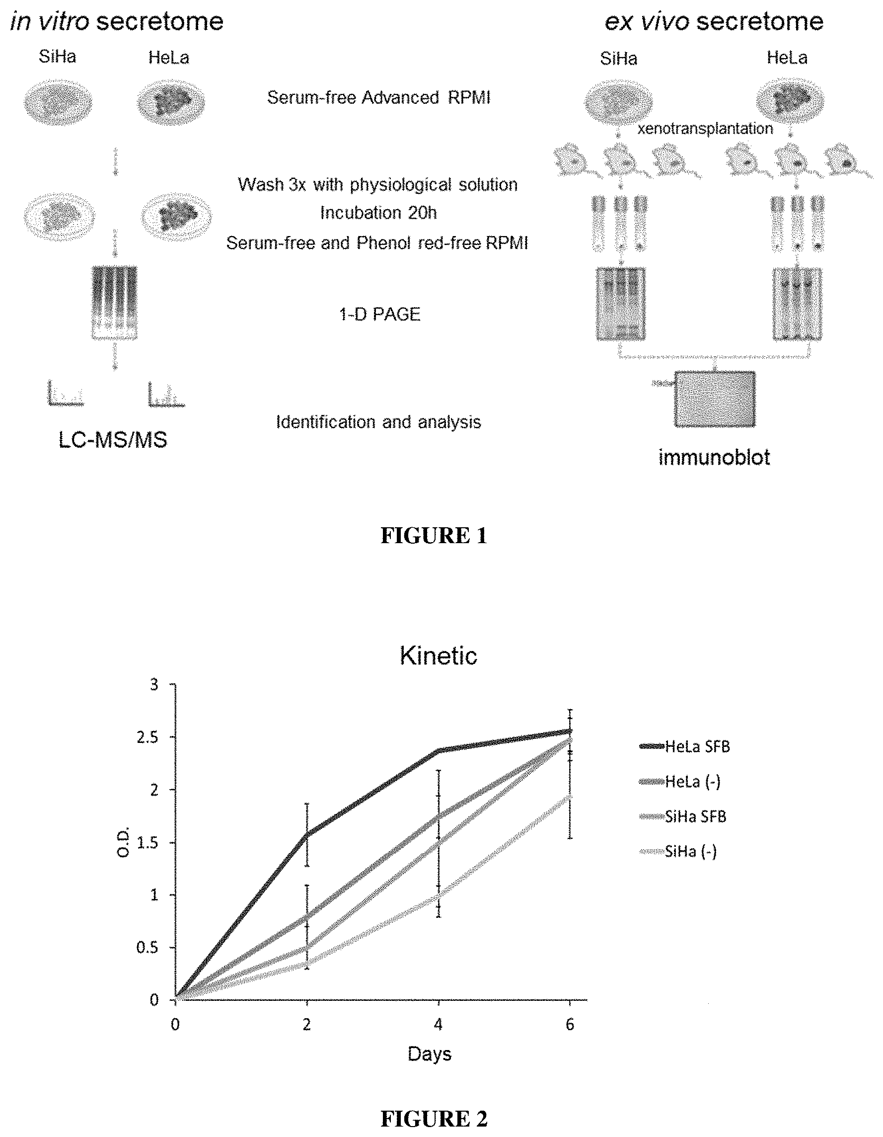 Patent US11771740 — Methods of diagnosing and treating cervical cancer — Figure 1