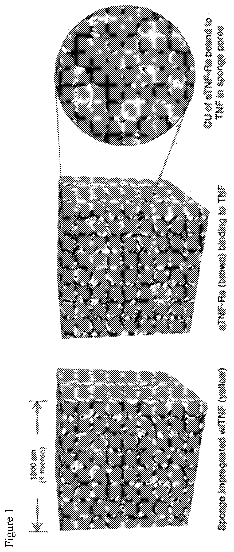 Patent US11771744 — Compositions and methods for inhibiting the biological activity of soluble biomolecules — Figure 1