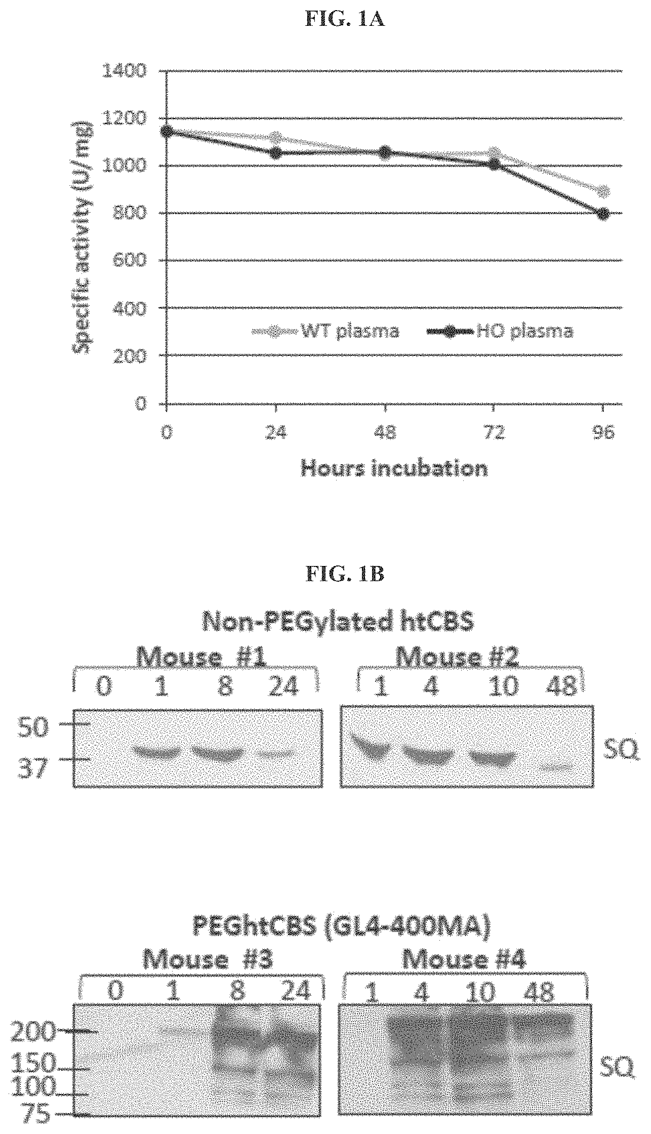 Patent US11771745 — Compositions and methods for treatment of homocystinuria — Figure 1