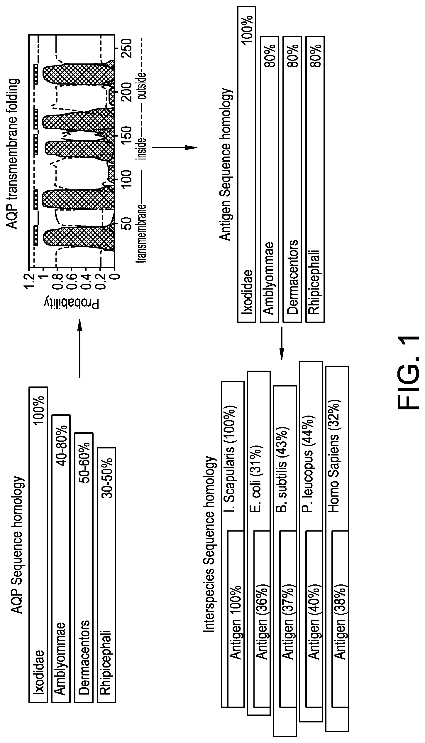 Patent US11771746 — Method to reduce tick population with a universal tick antigen — Figure 1