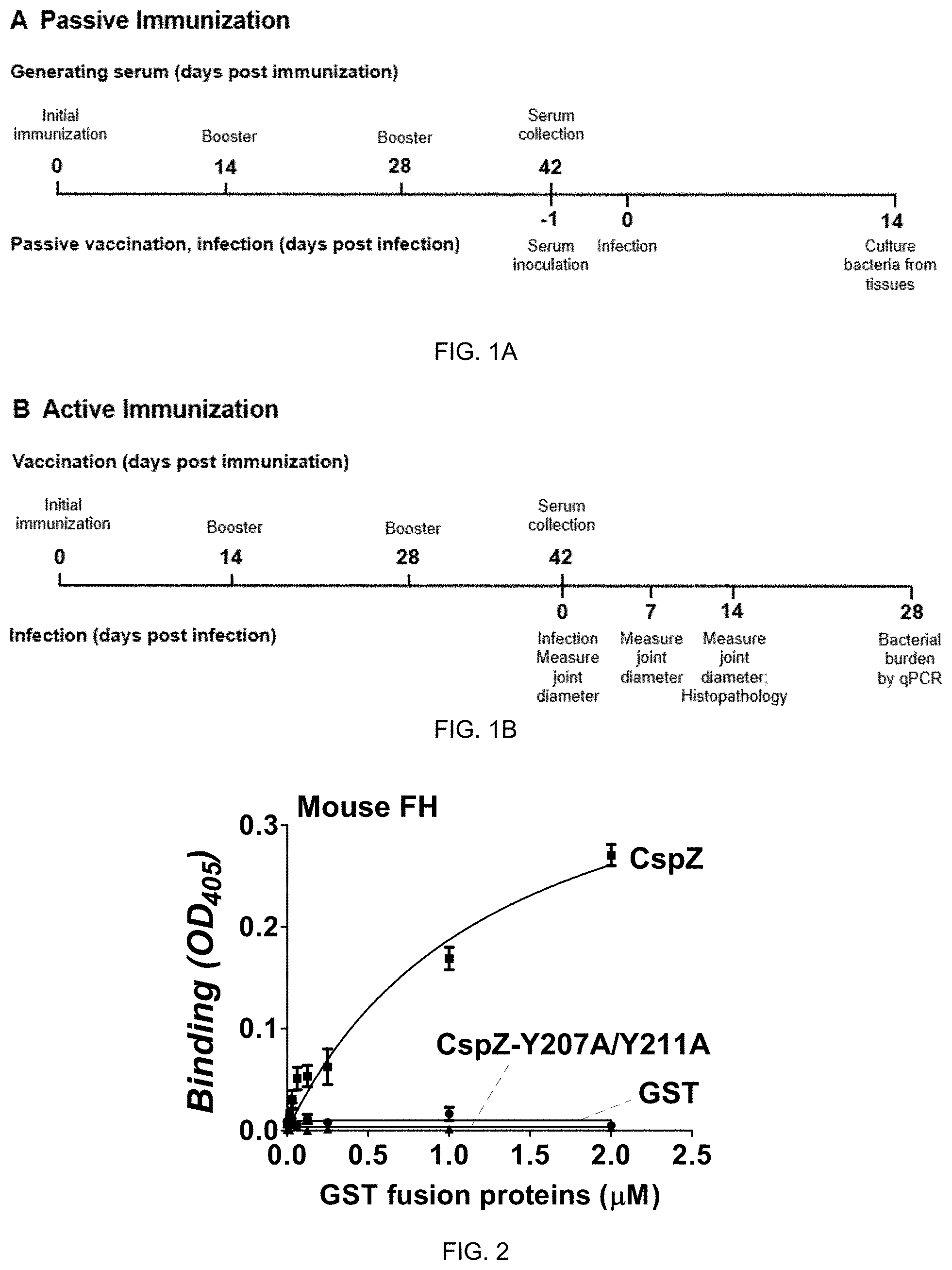 Patent US11771750 Figure 1 – Composition and method for generating immunity to Borrelia burgdorferi