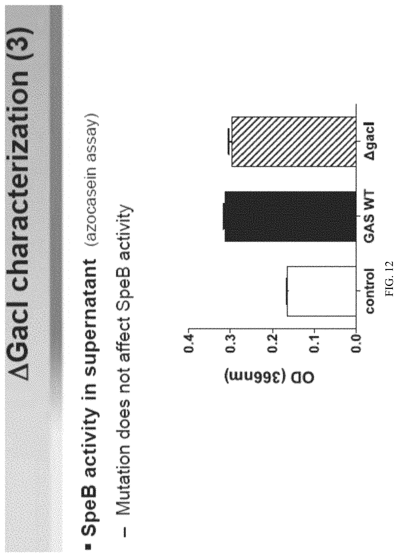 Patent US11771751 Figure 14 – Streptococcal GlcNAc-lacking glycopolypeptides, cell wall carbohydrates, streptococcus vaccines, and methods for making and using them