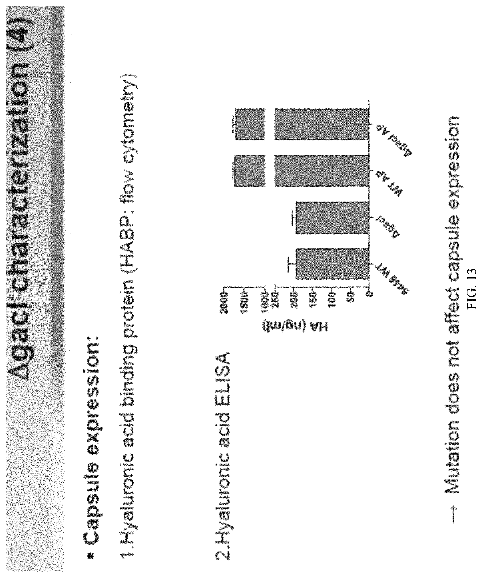 Patent US11771751 Figure 15 – Streptococcal GlcNAc-lacking glycopolypeptides, cell wall carbohydrates, streptococcus vaccines, and methods for making and using them