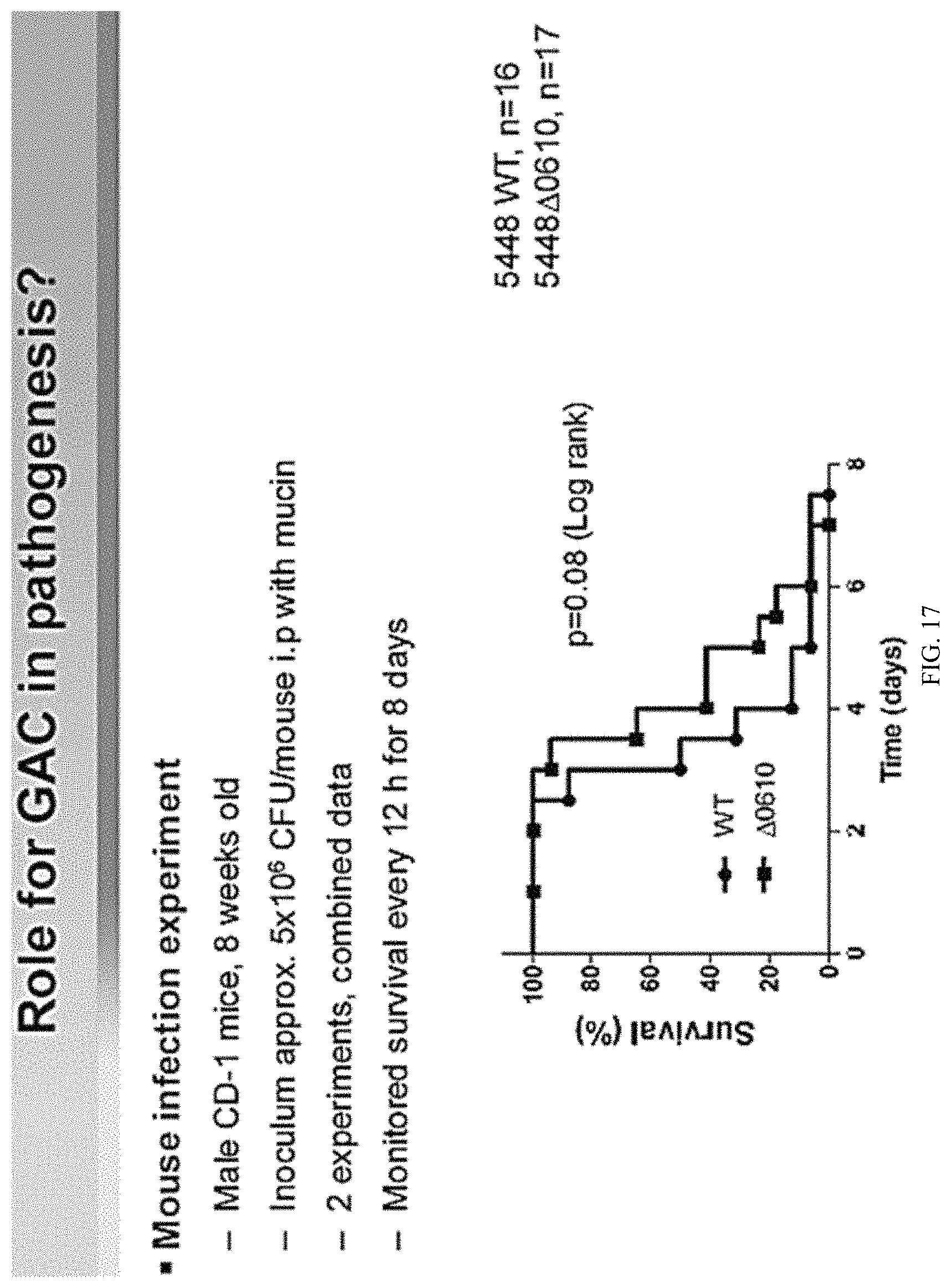 Patent US11771751 Figure 19 – Streptococcal GlcNAc-lacking glycopolypeptides, cell wall carbohydrates, streptococcus vaccines, and methods for making and using them