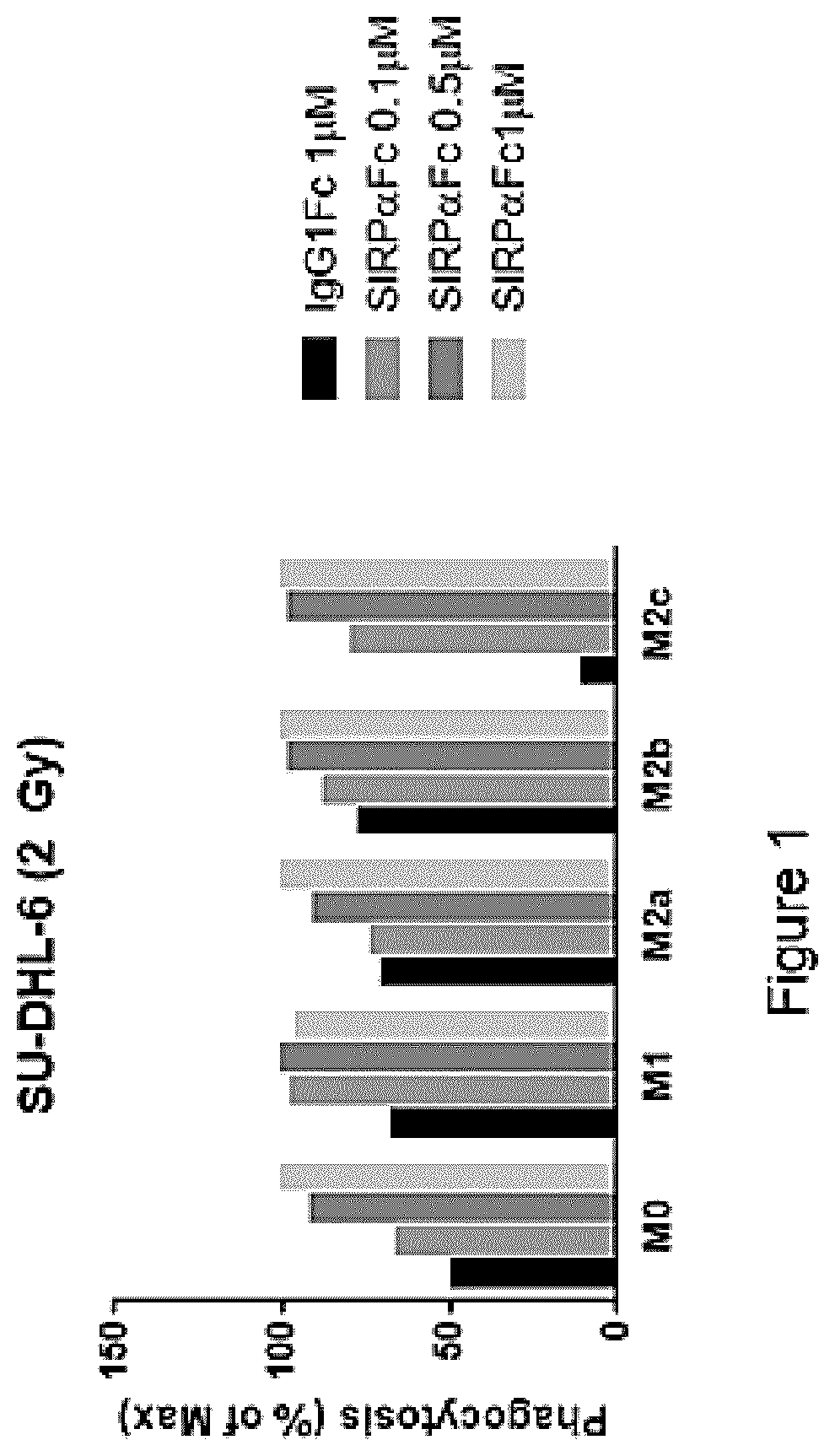 Patent US11771764 — CD47 blockade with radiation therapy — Figure 1