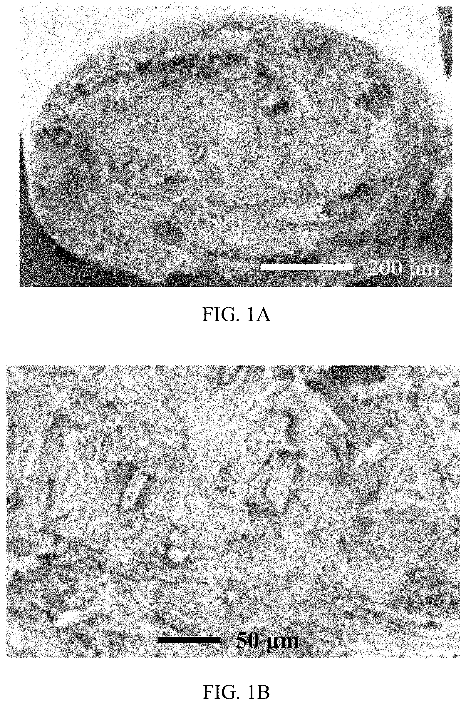 Patent US11771769 — Ocular applications of silk-based products — Figure 1