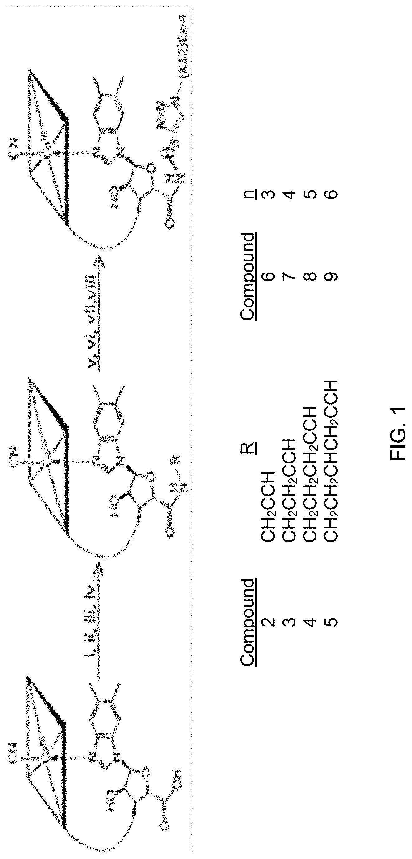 Patent US11771772 — Glycemic control using intrinsic factor bound to a vitamin B 12 conjugate of a glucagon-like peptide-1 receptor agonist — Figure 1