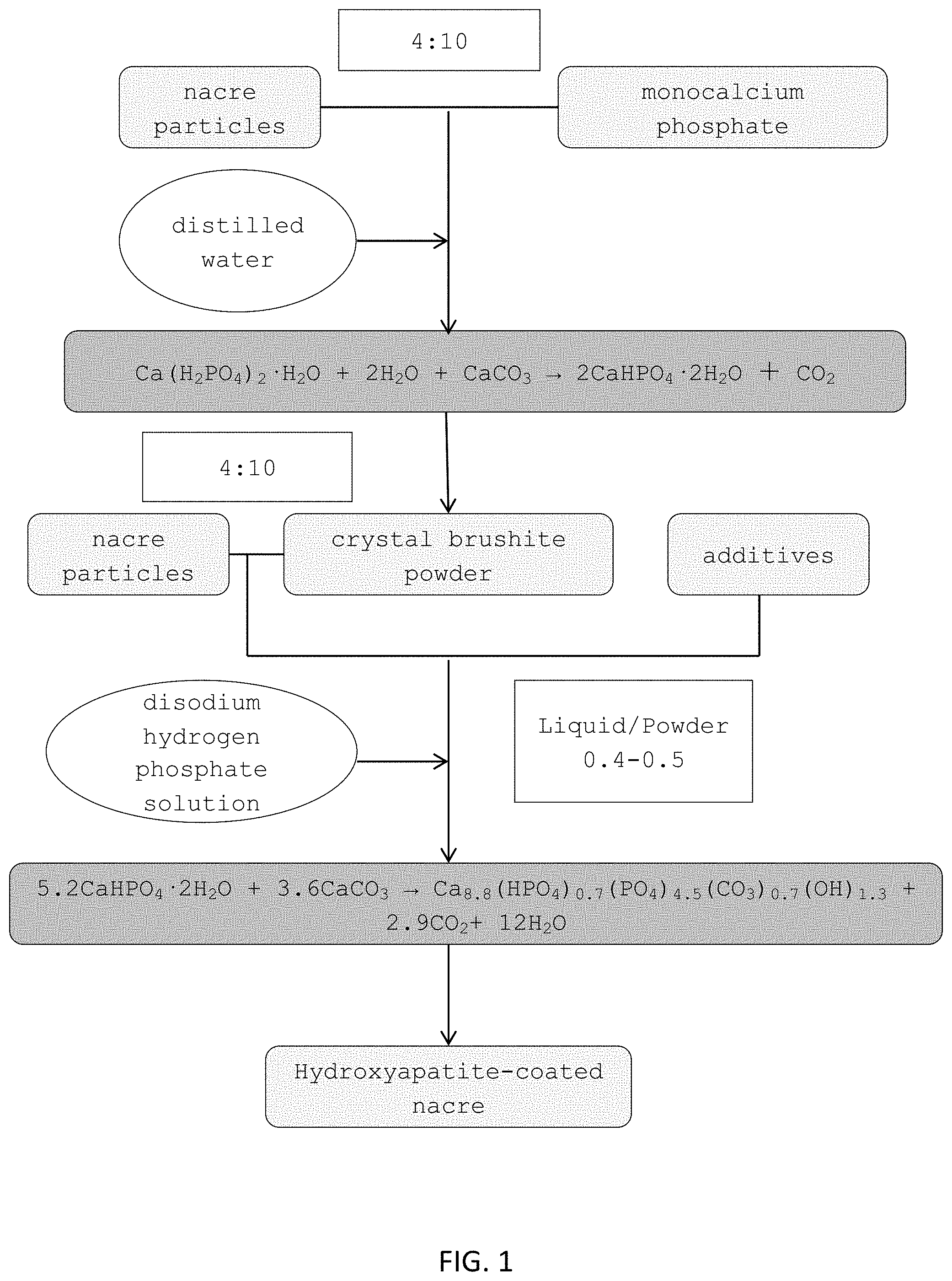 Patent US11771800 — Method for manufacturing a calcified tissue substitute — Figure 1