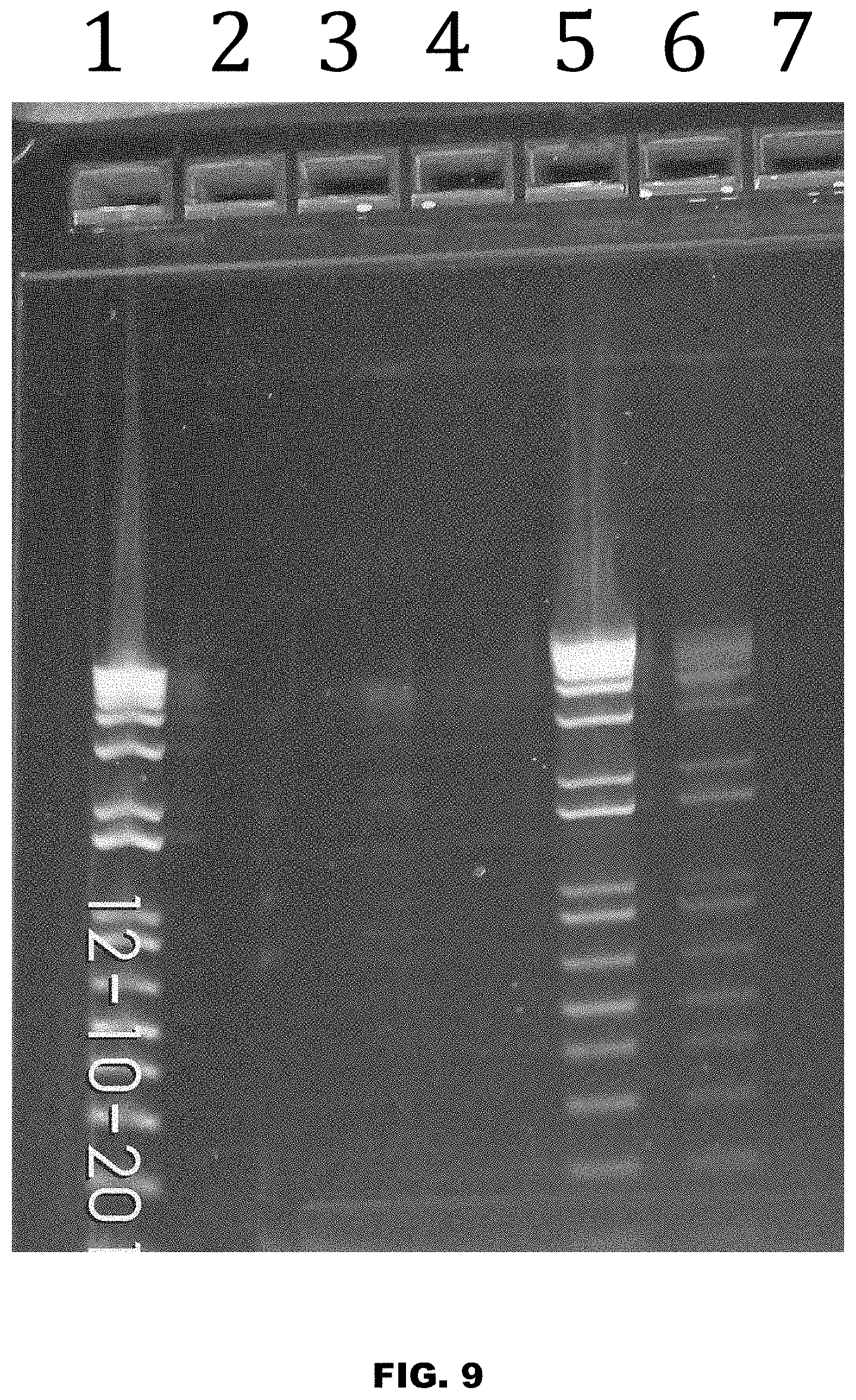 Patent US11771811 Figure 9 – Method and device for purification of blood from circulating cell free DNA