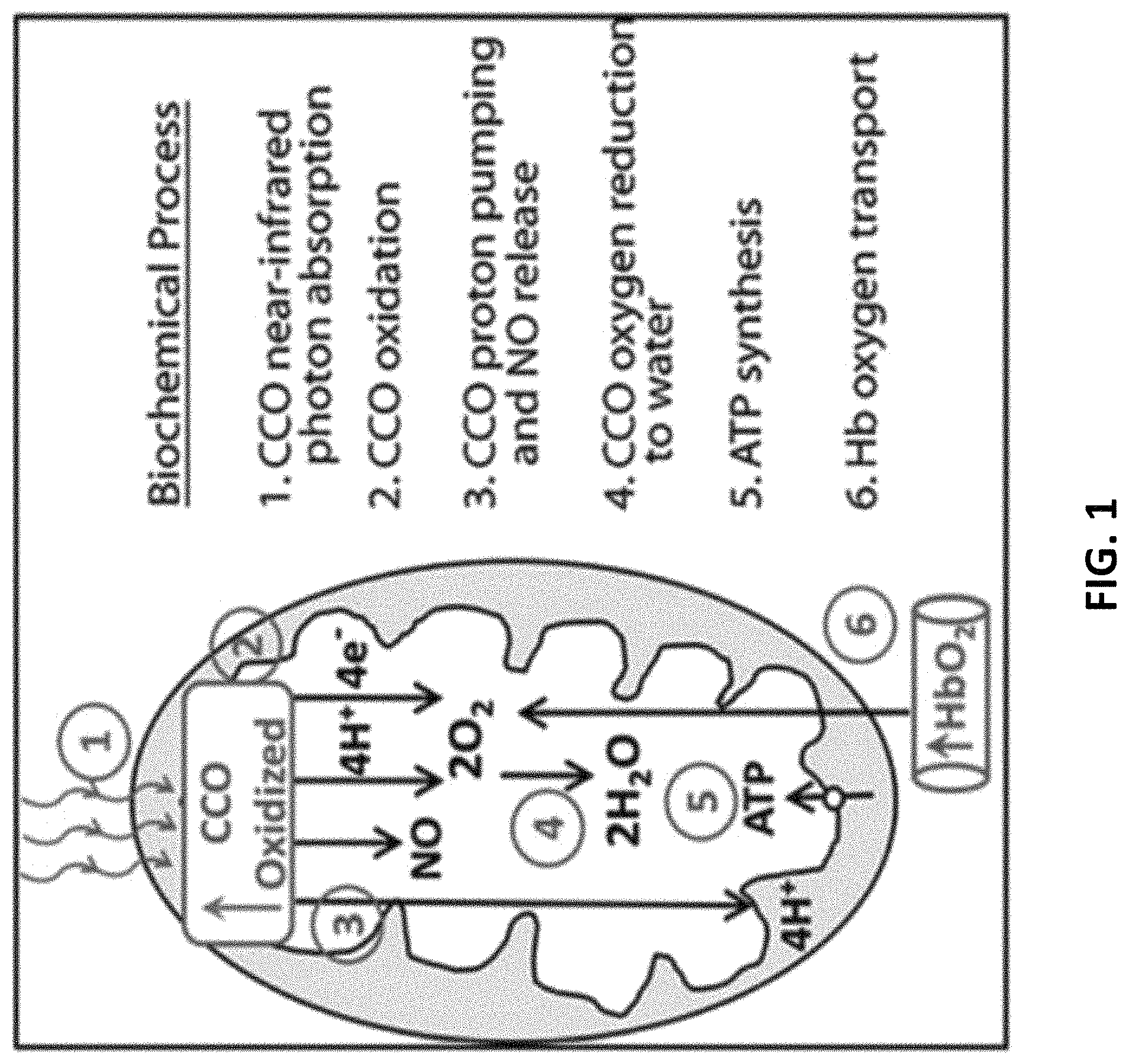 Patent US11771917 — Method and apparatus for brain function enhancement — Figure 1