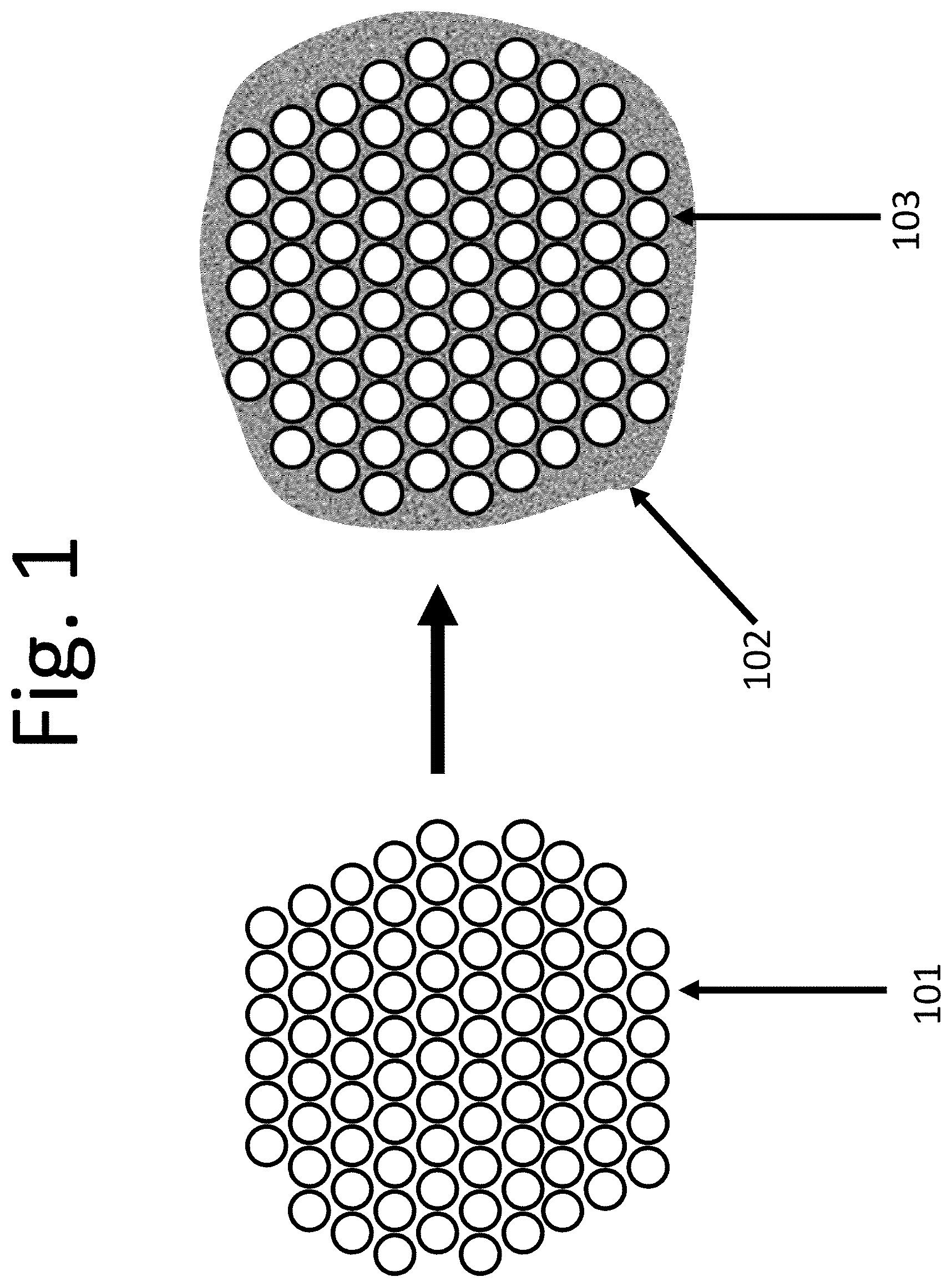 Patent US11772048 — Perfusion filtration system — Figure 1