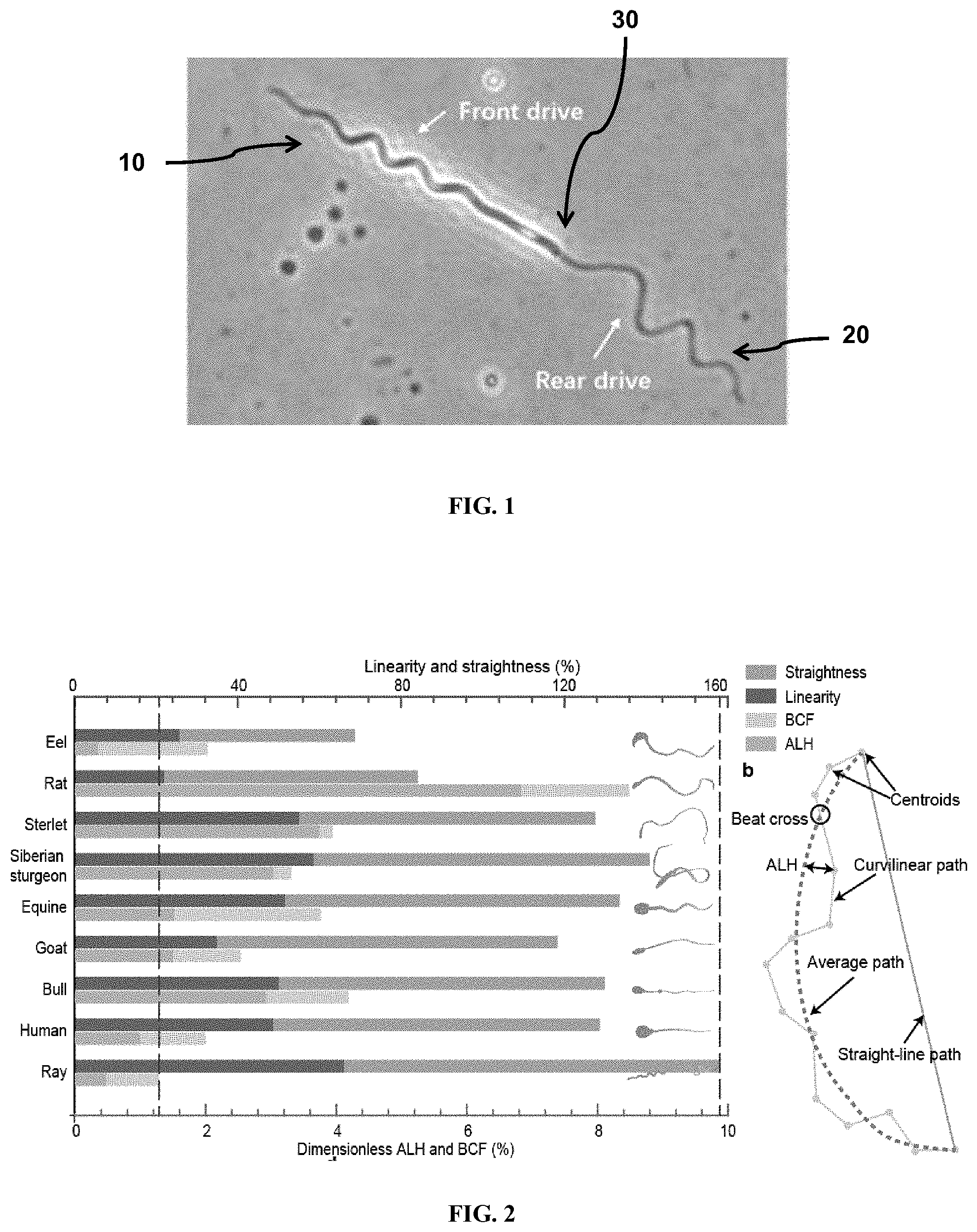 Patent US11772761 Figure 1 – Underwater vehicle with front-rear distributed drive