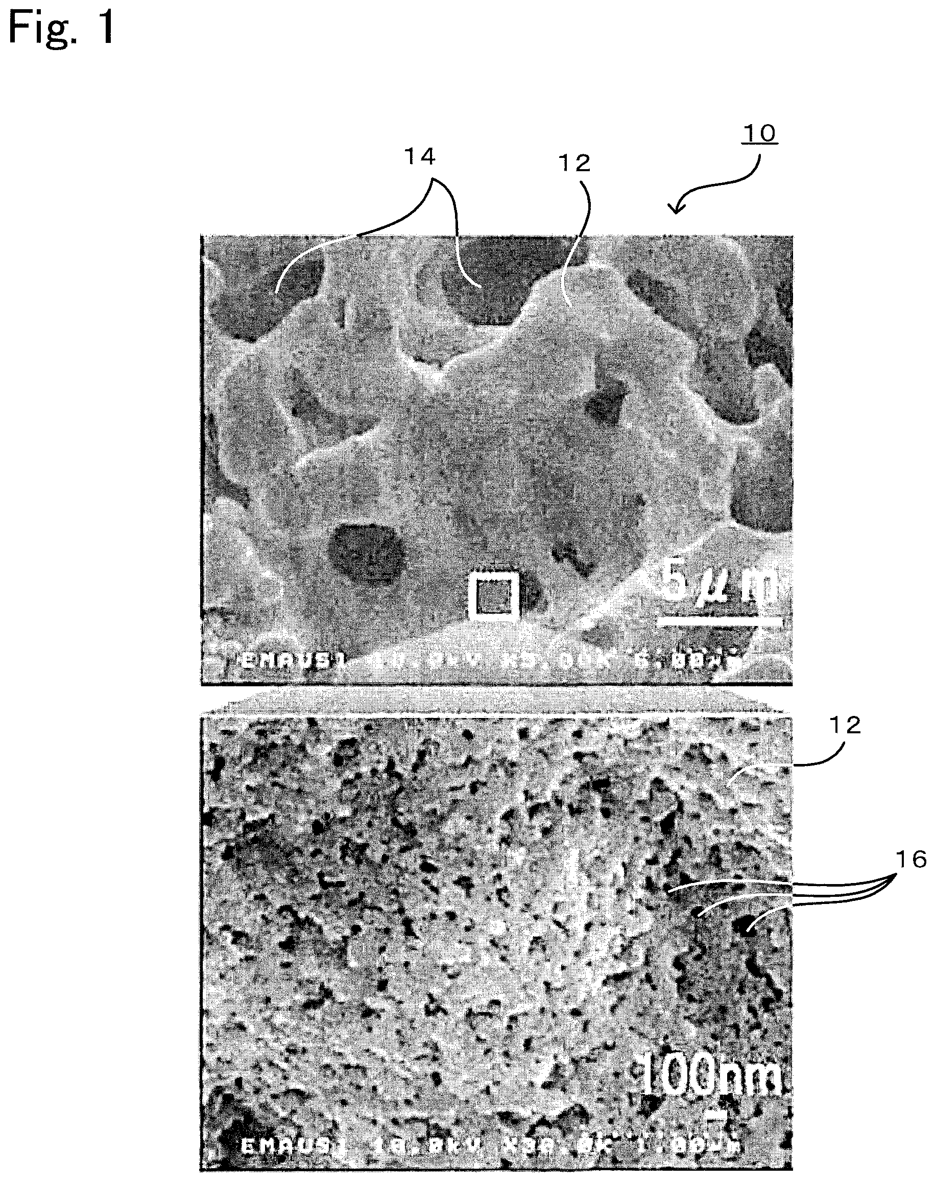 Patent US11772983 — Titania porous body and method for producing same — Figure 1