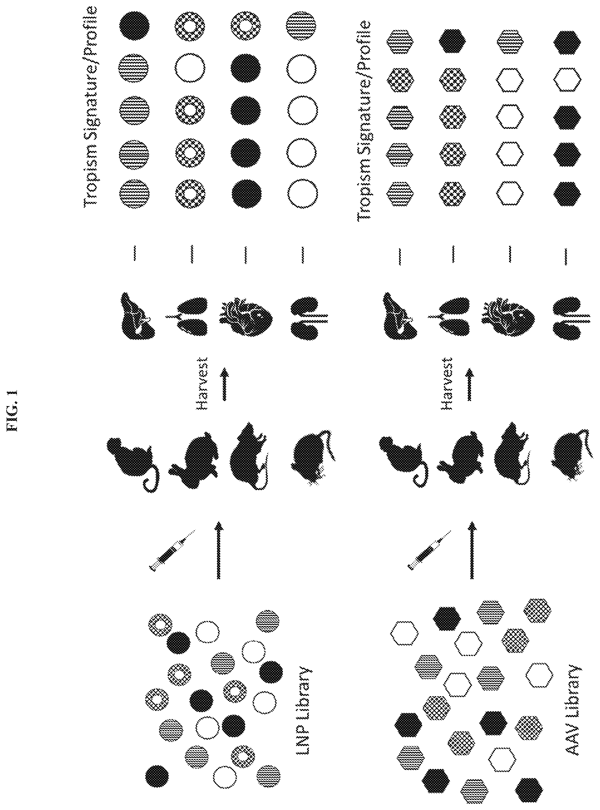 Patent US11773061 — Cyclic lipids and methods of use thereof — Figure 1