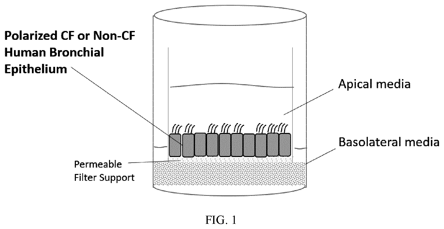 Patent US11773078 — Furin inhibitors — Figure 1