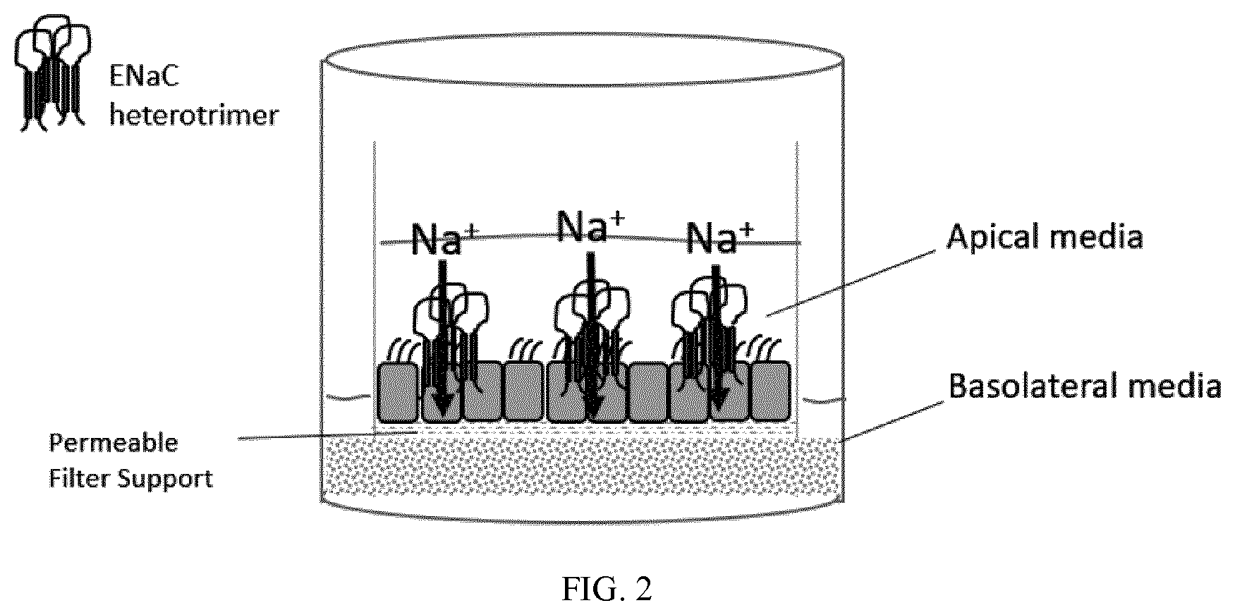 Patent US11773078 Figure 2 – Furin inhibitors