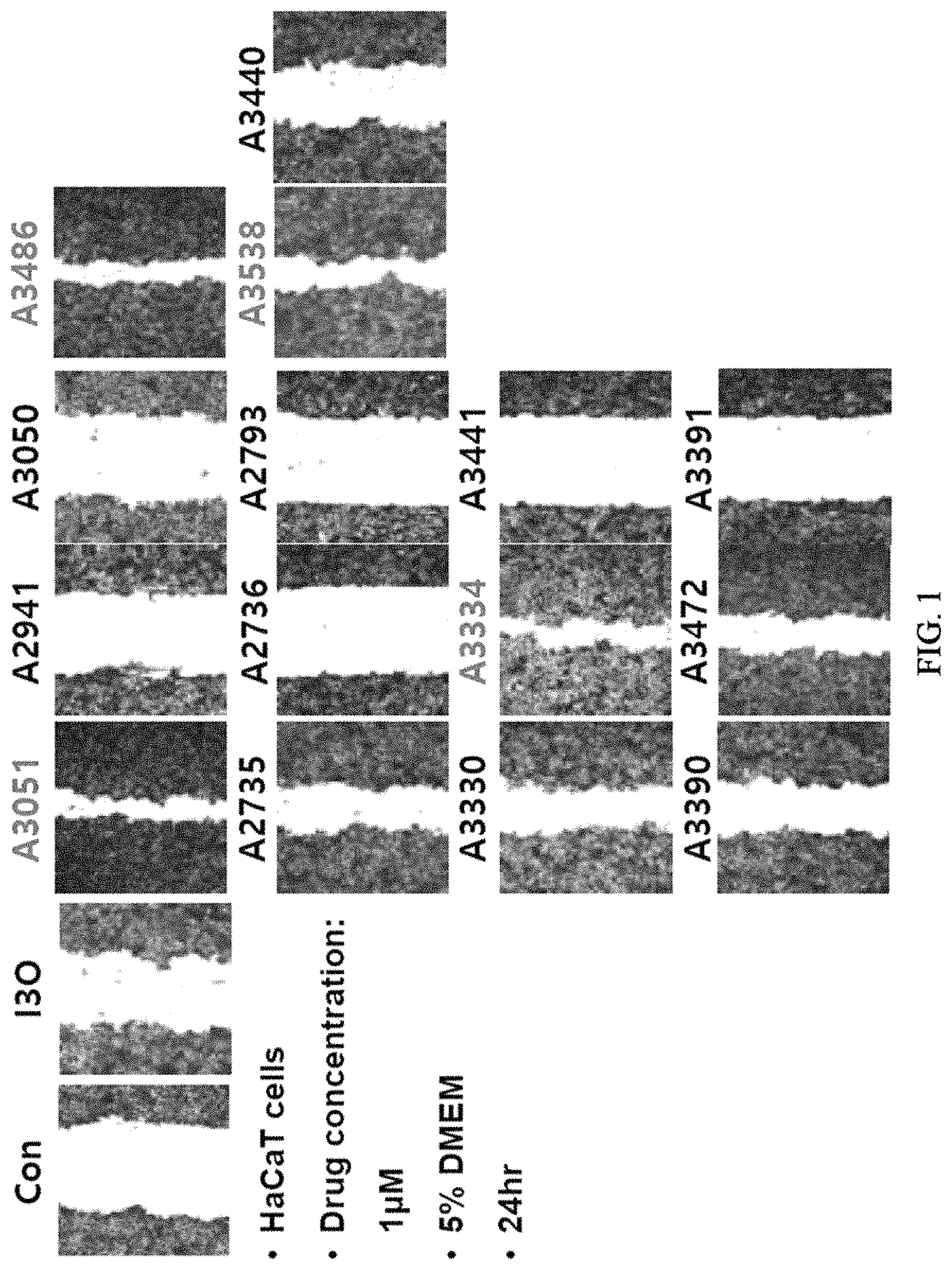 Patent US11773081 Figure 1 – Pharmaceutical composition for preventing or treating wound, comprising indirubin derivative as active ingredient