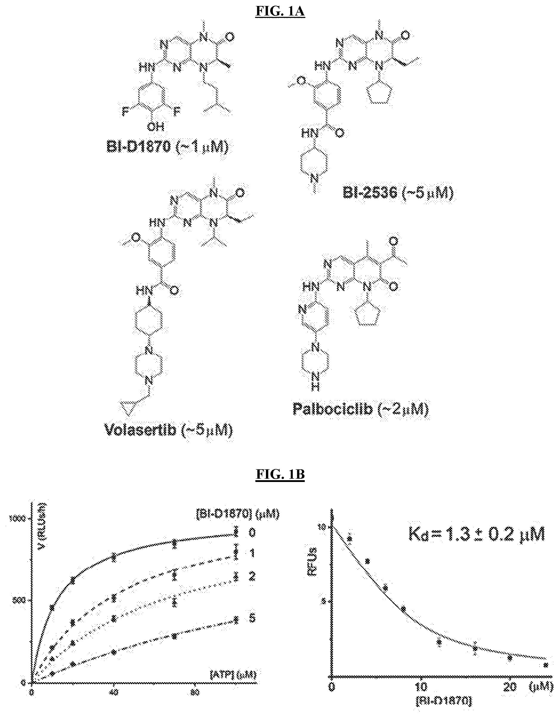 Patent US11773096 — Small-molecule PI5P4K alpha/beta inhibitors and methods of treatment using same — Figure 1