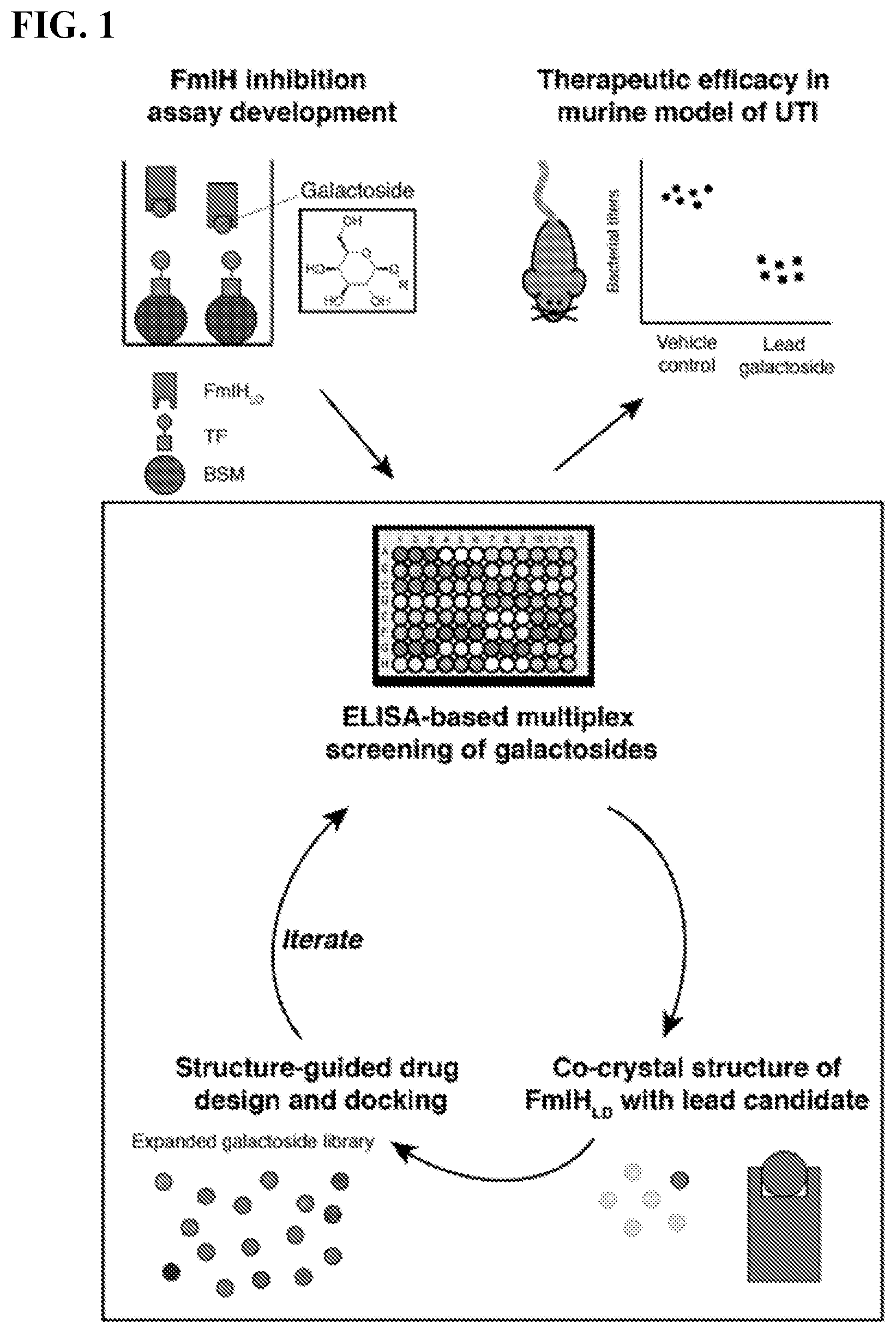 Patent US11773127 — Compounds and methods for treating bacterial infections — Figure 1