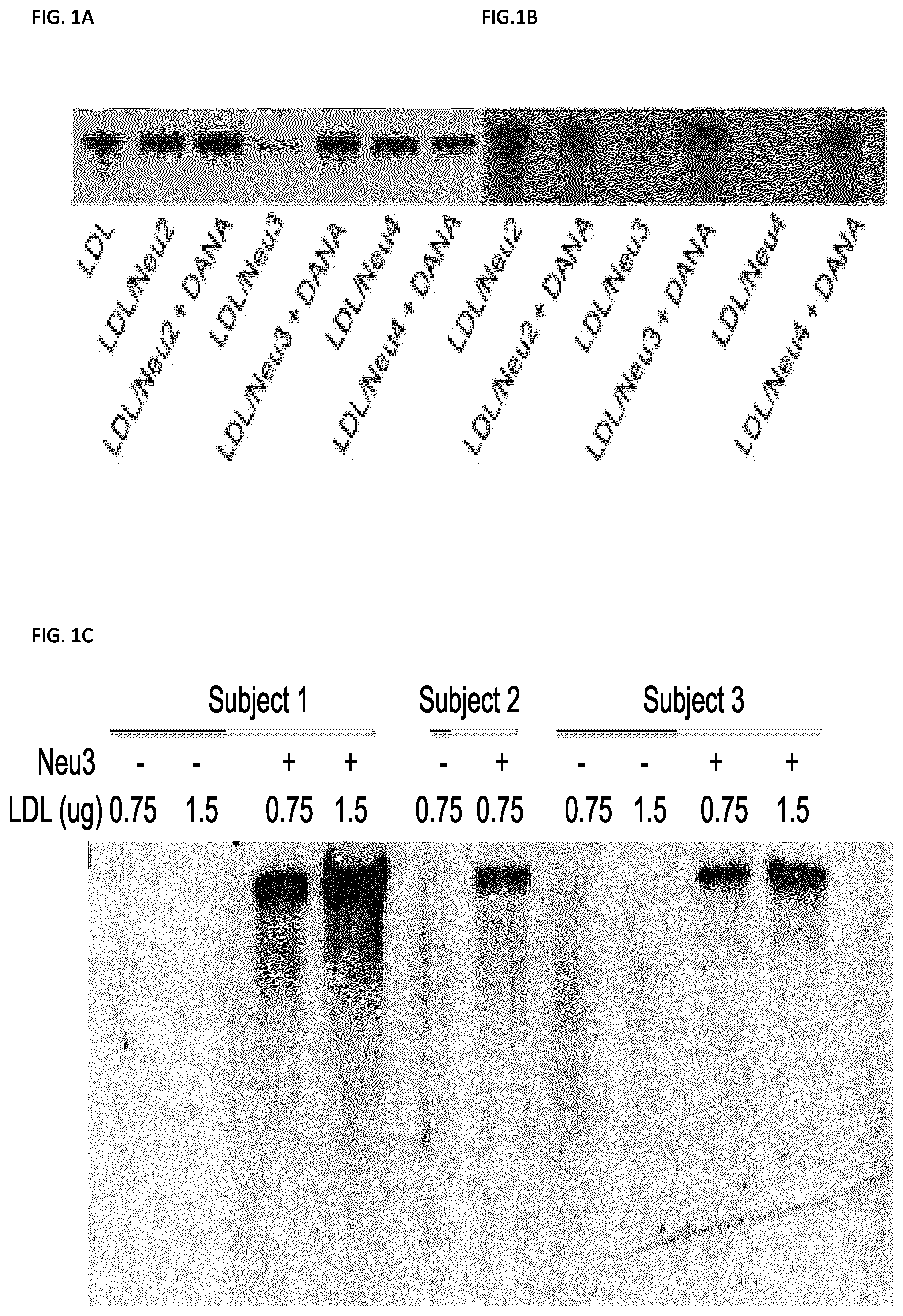 Patent US11773129 Figure 1 – Methods of preventing or treating atherosclerosis with inhibitors of specific isoenzymes of human neuraminidase
