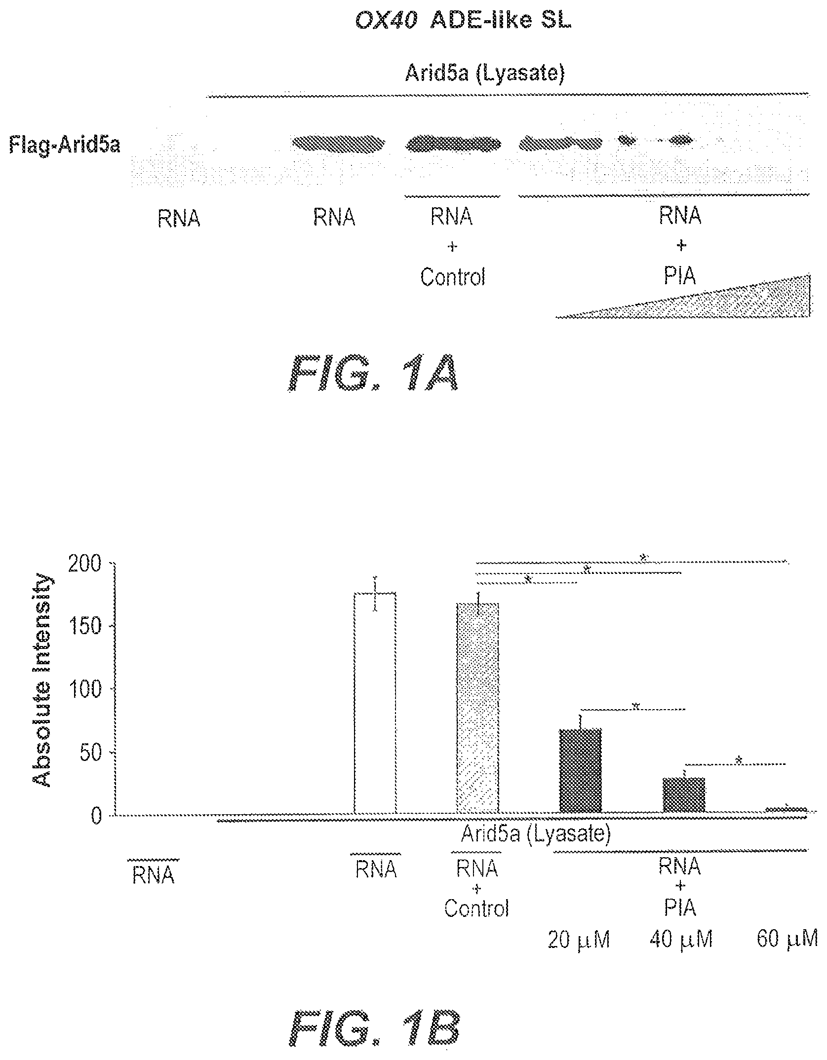 Patent US11773137 — Arid5a peptide inhibitors — Figure 1
