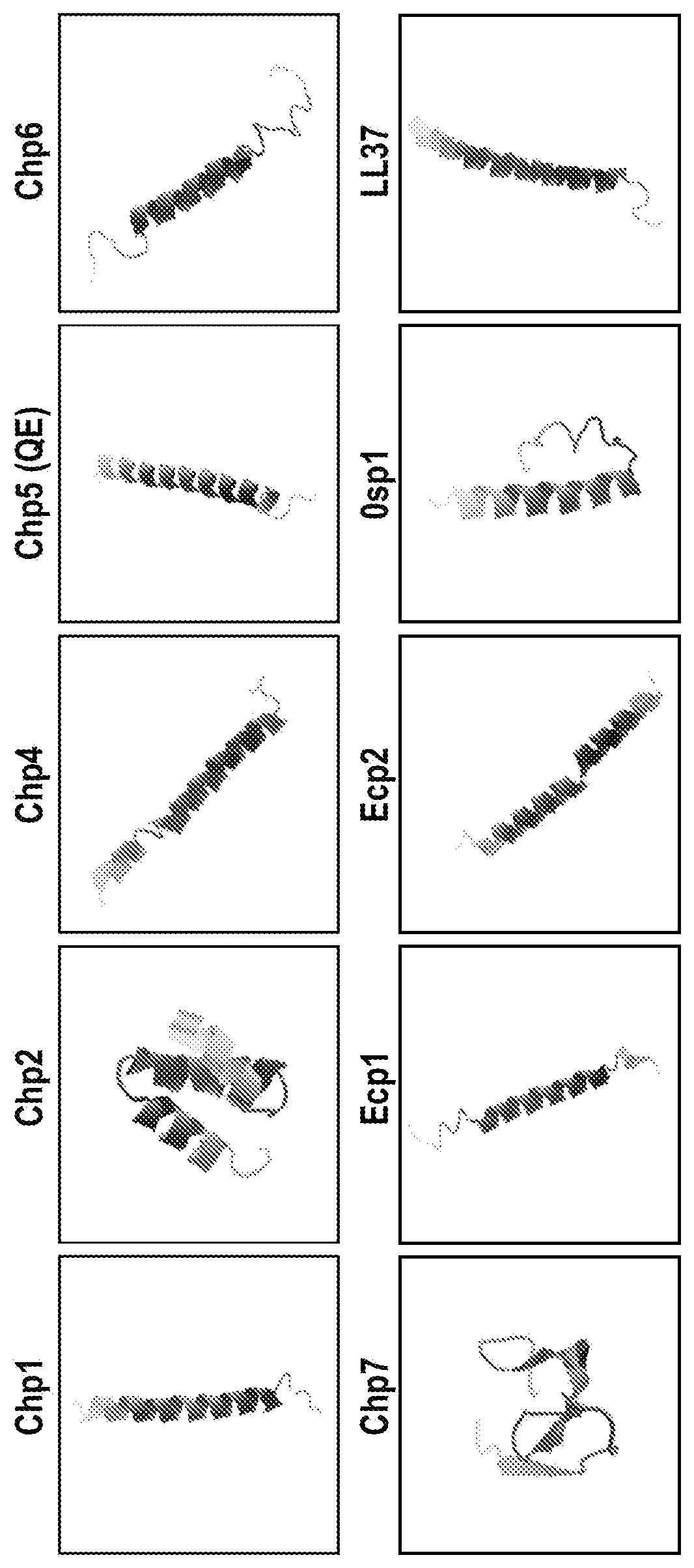 Patent US11773140 — Gram-negative lysin-antimicrobial peptide (AMP) polypeptide constructs, lysins, isolated polynucleotides encoding same and uses thereof in human serum — Figure 1
