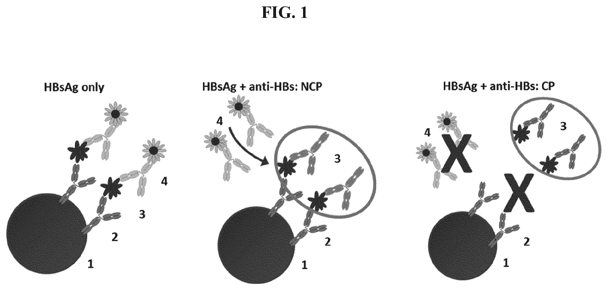 Patent US11773141 — Methods and compositions for the treatment of hepatitis B infection — Figure 1