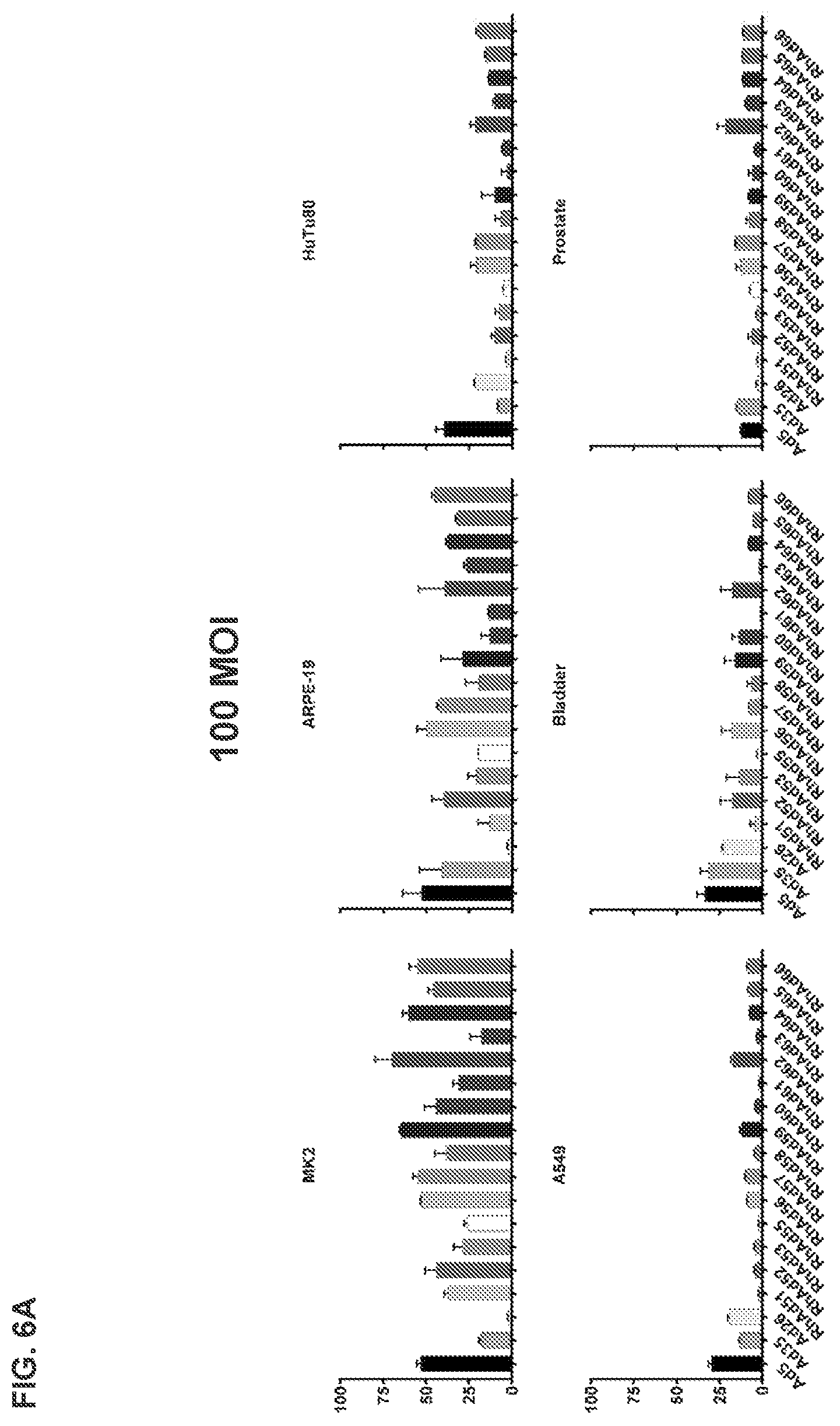 Patent US11773142 Figure 13 – Recombinant adenoviruses and uses thereof