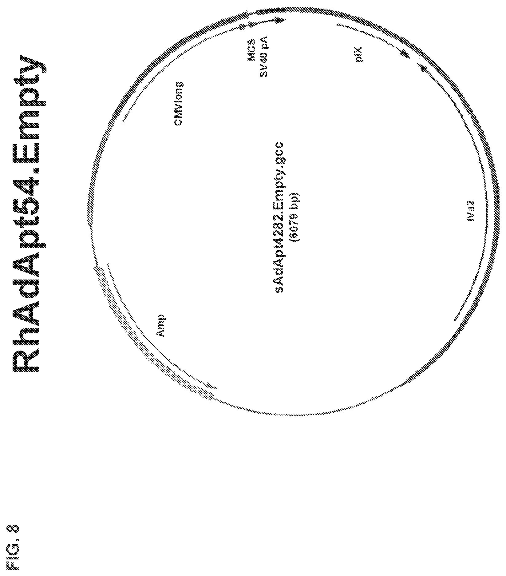Patent US11773142 Figure 17 – Recombinant adenoviruses and uses thereof