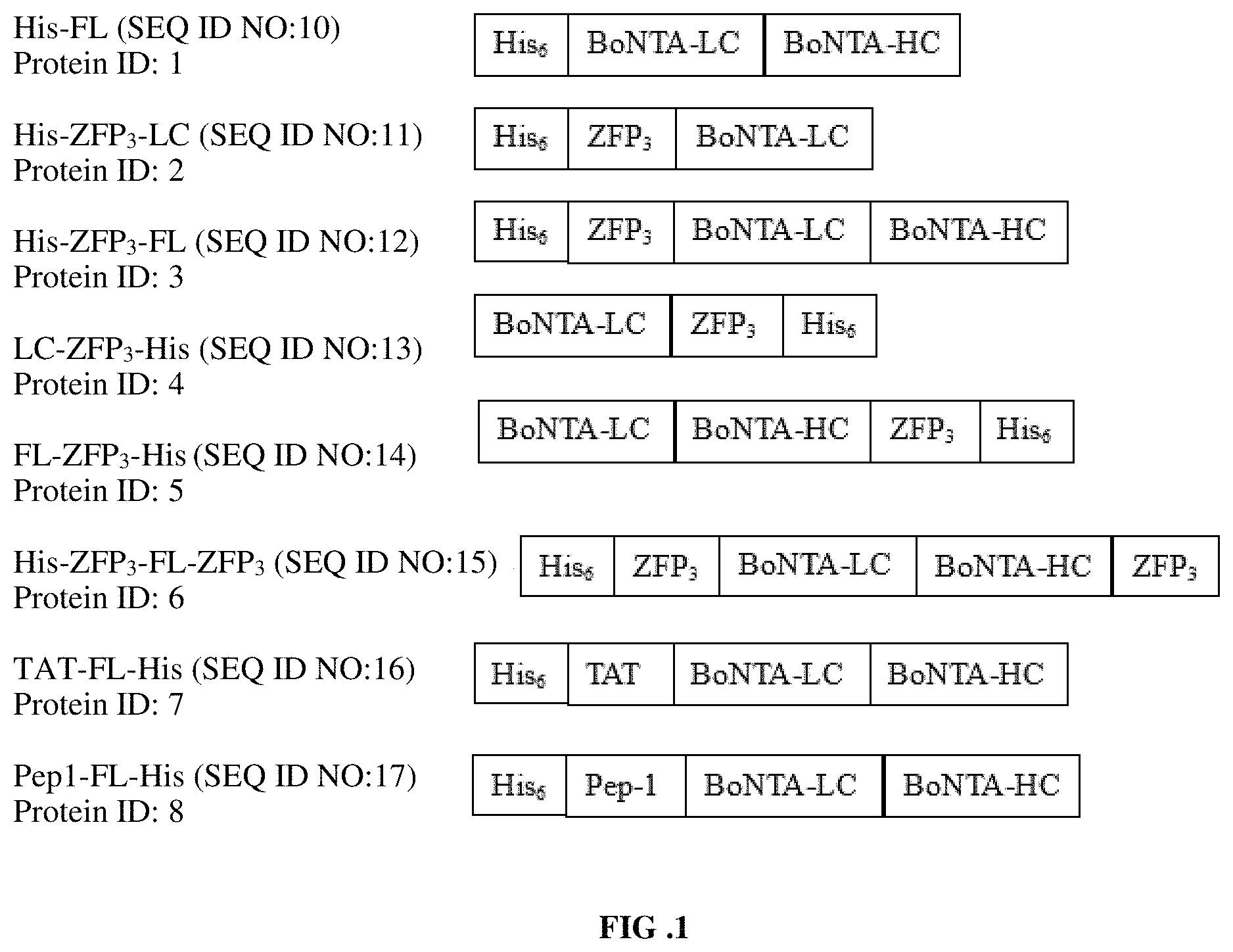 Patent US11773145 — Topical compositions and uses — Figure 1