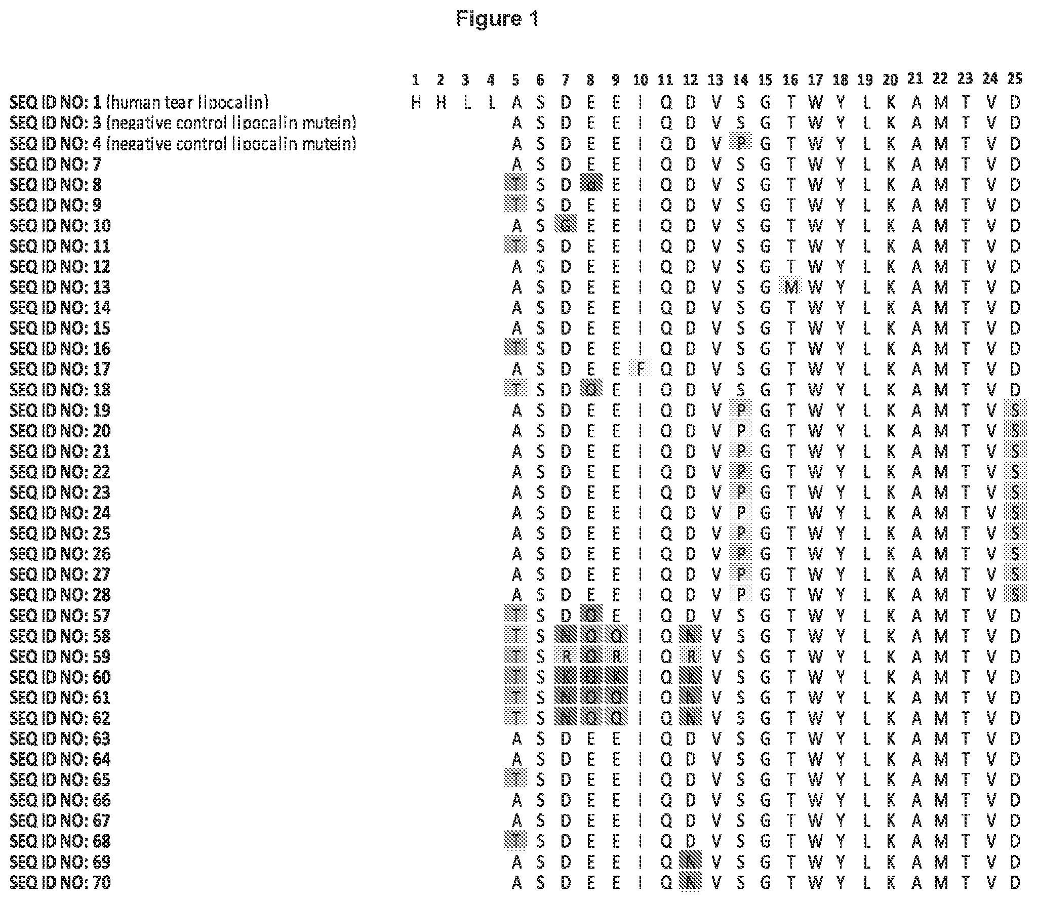 Patent US11773147 Figure 1 – Lipocalin muteins with binding affinity for LAG-3
