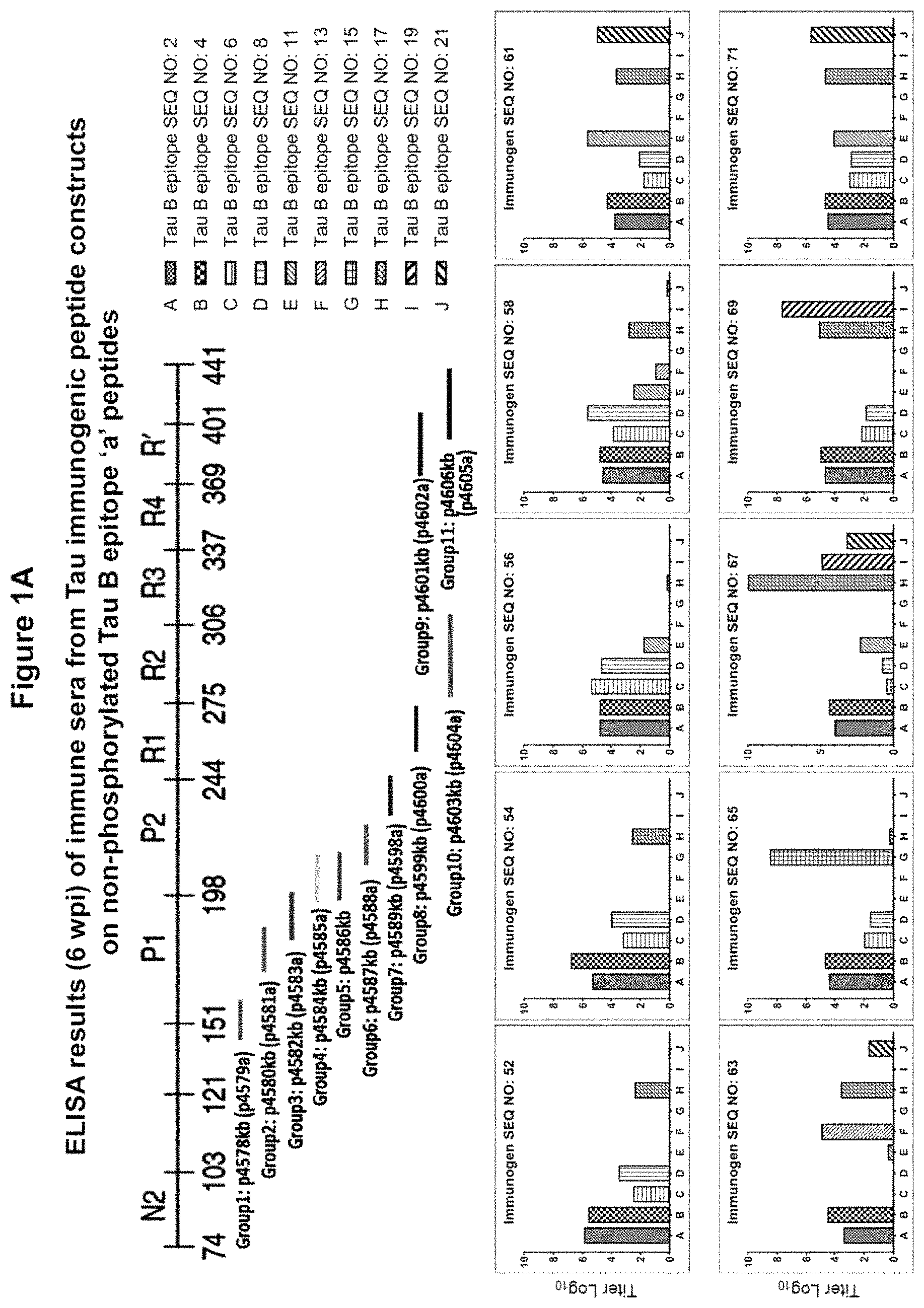 Patent US11773148 — Tau peptide immunogen constructs — Figure 1
