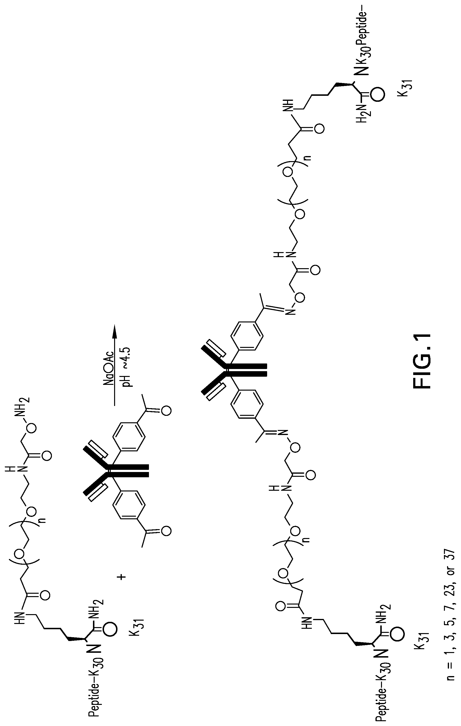 Patent US11773150 — Antibody peptide conjugates that have agonist activity at both the glucagon and glucagon-like peptide 1 receptors — Figure 1