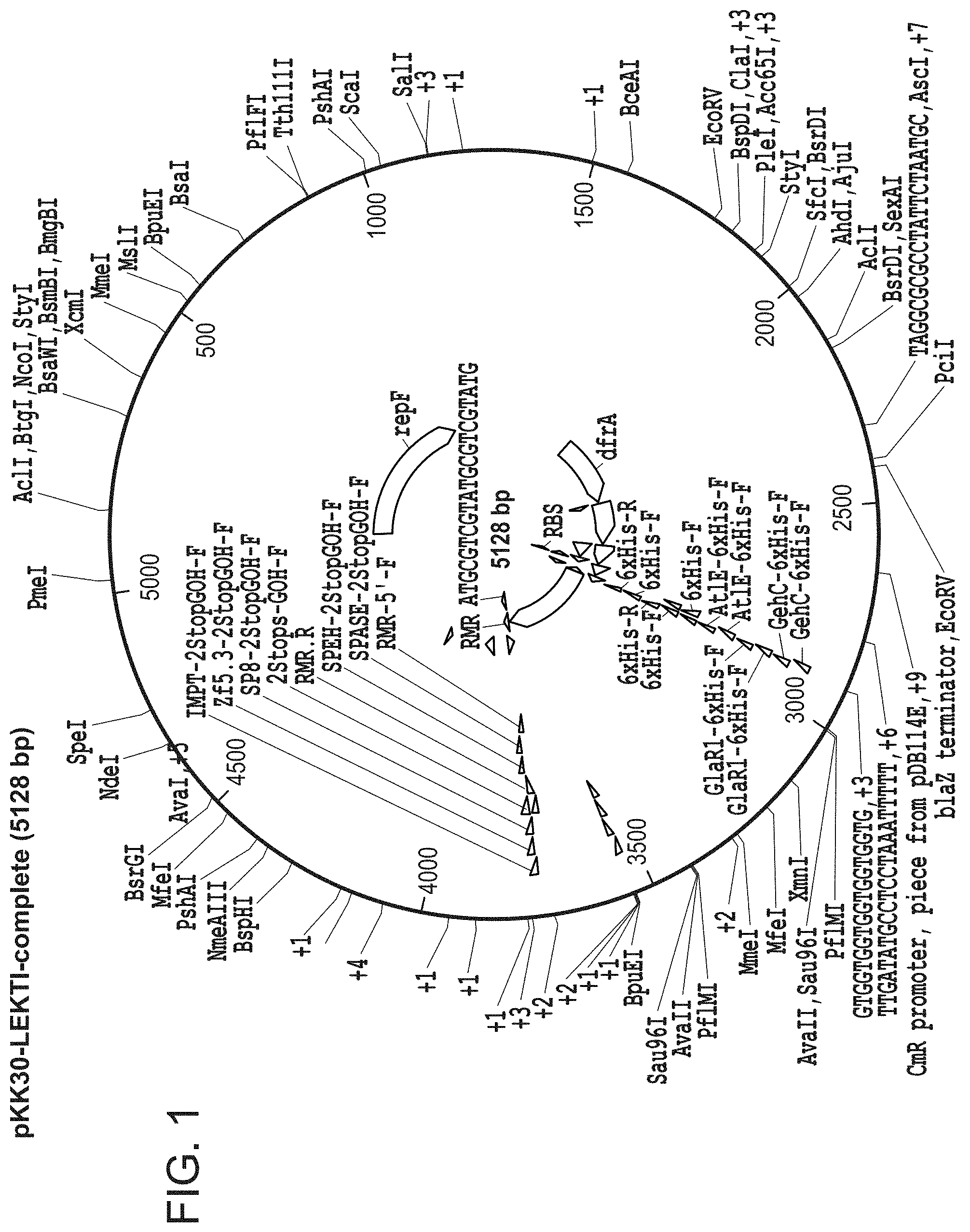 Patent US11773154 — Compositions and methods for treatment of Netherton Syndrome with LEKTI expressing recombinant microbes — Figure 1