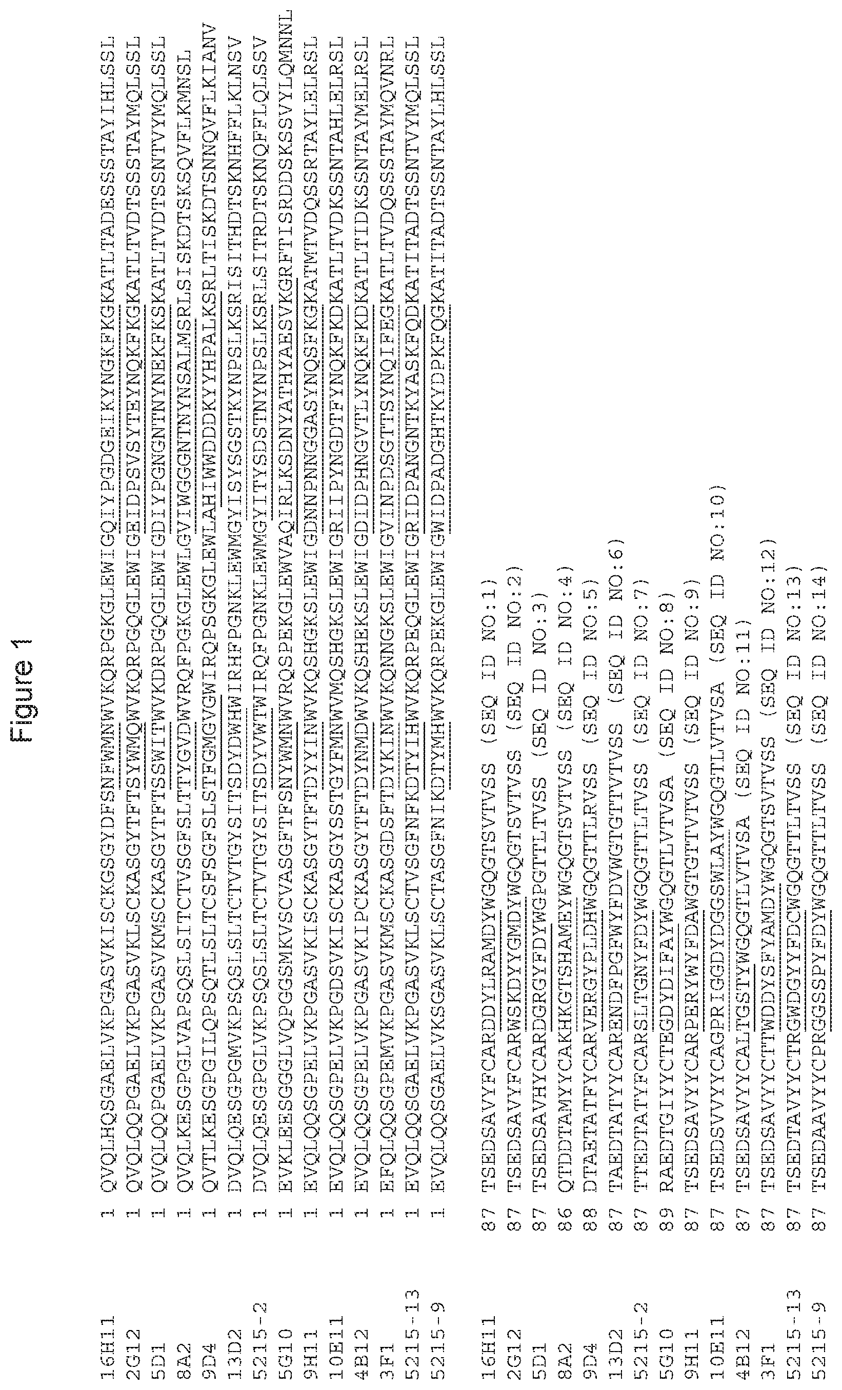 Patent US11773162 — Anti-Siglec-7 antibodies for the treatment of cancer — Figure 1