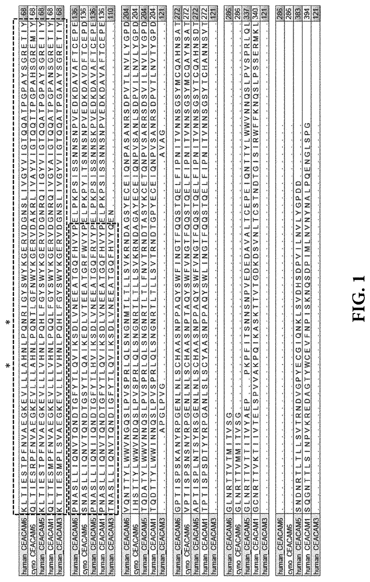 Patent US11773164 — Anti-CEACAM6 antibodies and uses thereof — Figure 1