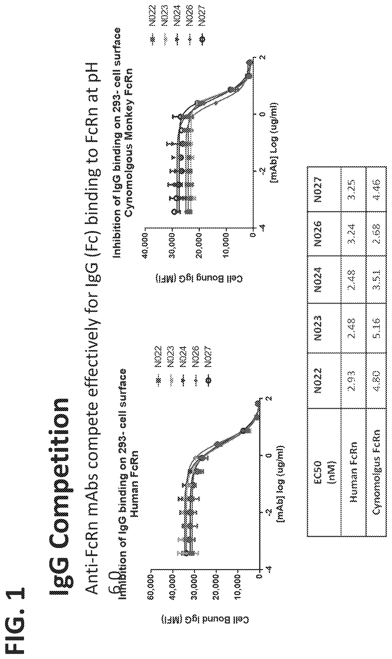 Patent US11773168 — FcRn antibodies and methods of use thereof — Figure 1