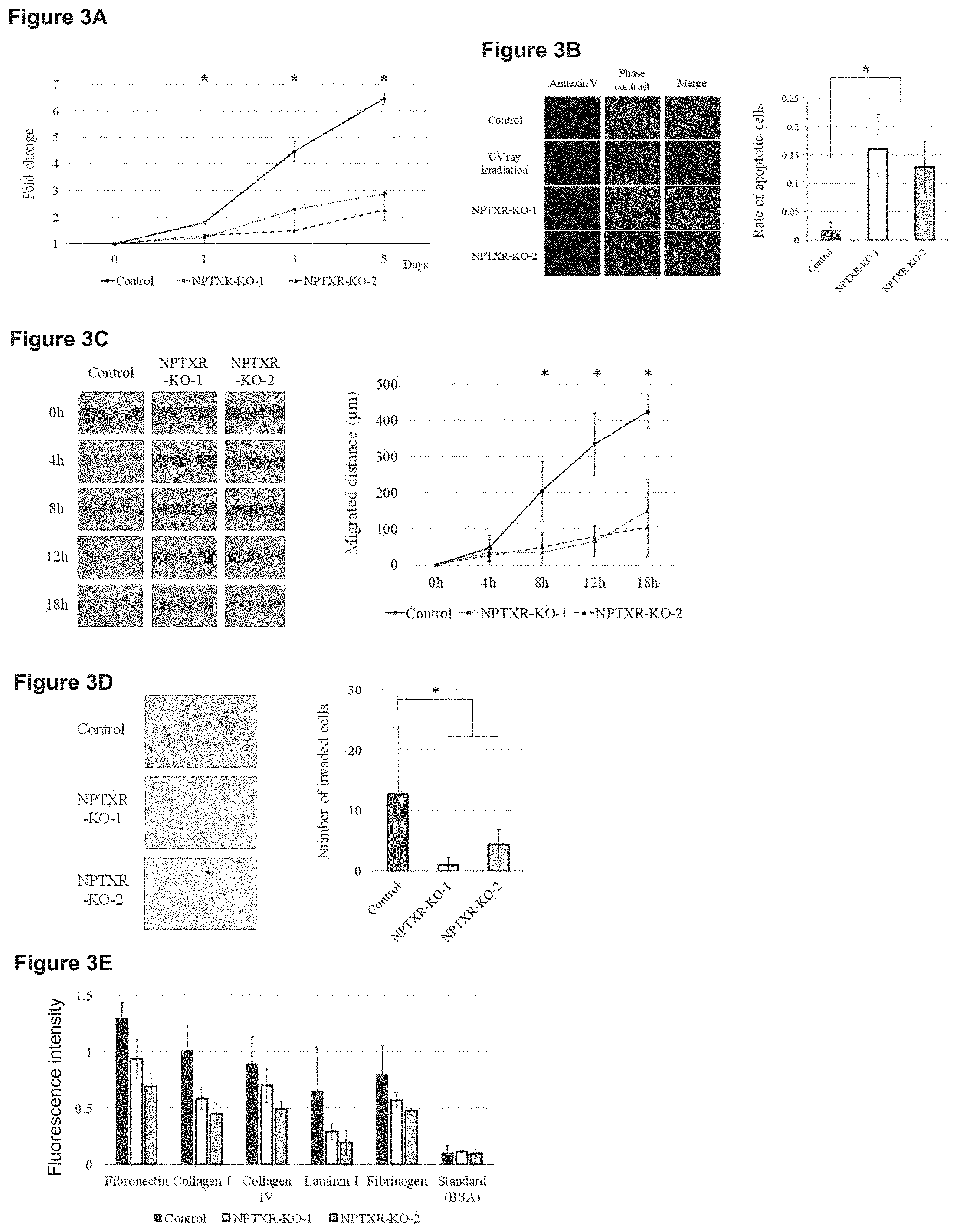 Patent US11773169 Figure 3 – Therapeutic agent targeted to receptor protein, test agent, antibody that binds to receptor protein, and screening method for molecularly targeted drugs